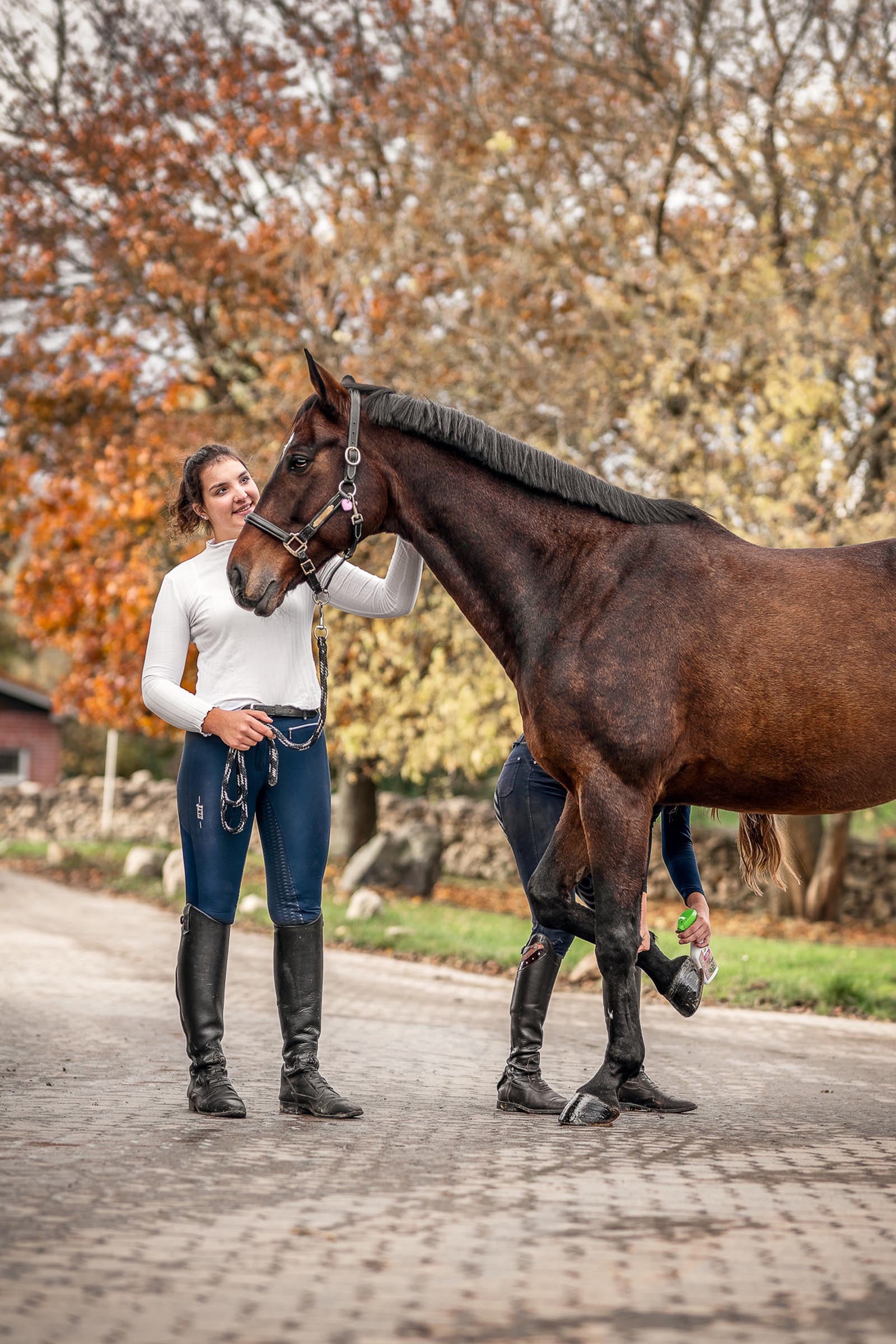 Bense & Eicke Maukosan Liquid, 250ml Horse Health Care