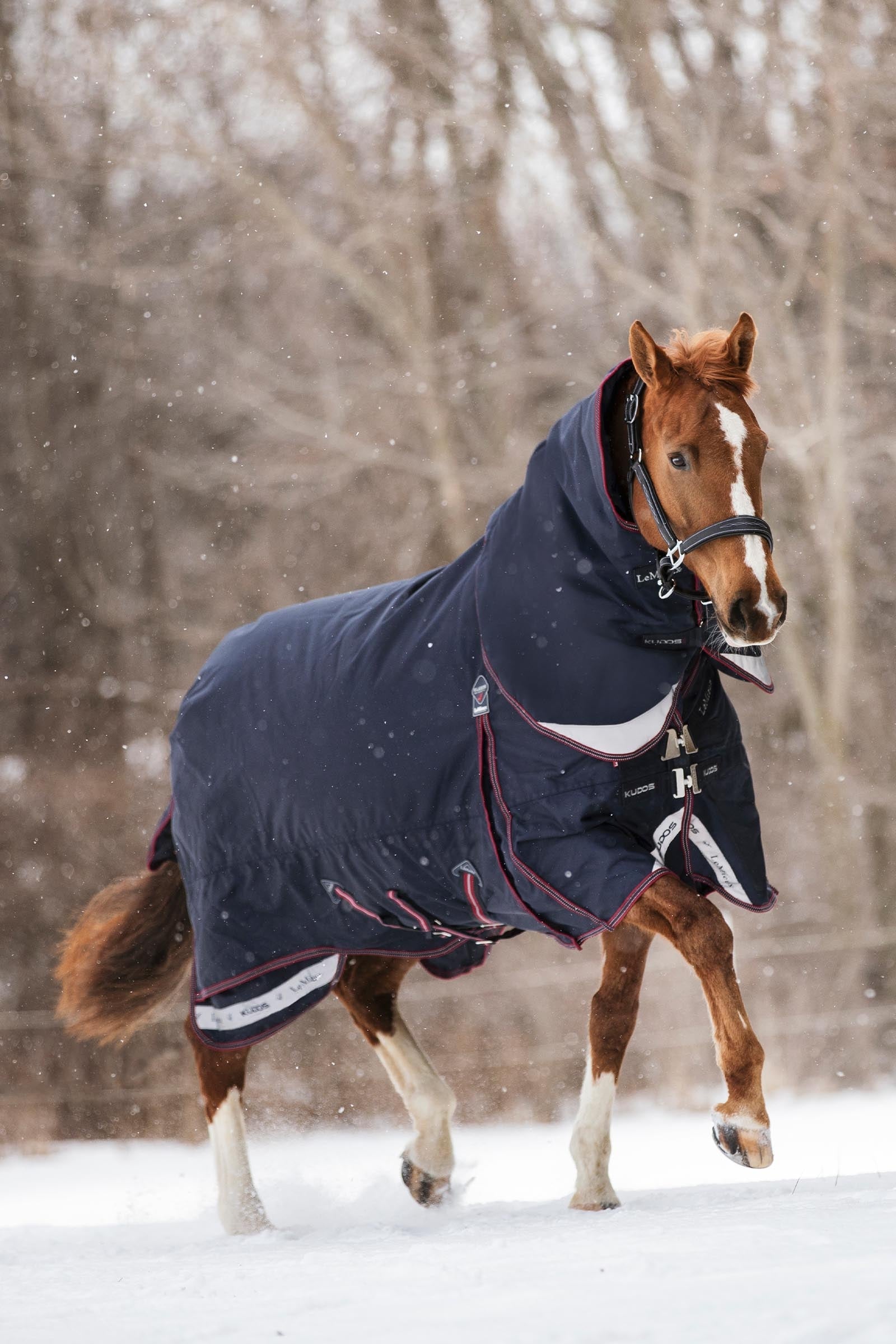 LeMieux Kudos Turnout Rug, 200 g Derki