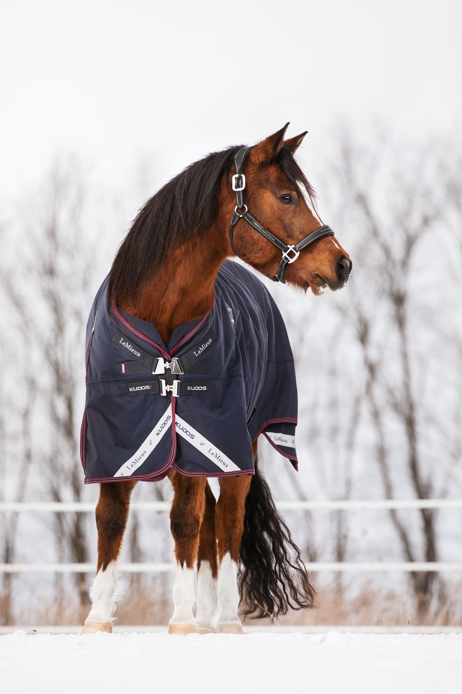 LeMieux Kudos Turnout Rug, 200 g Horse Rugs