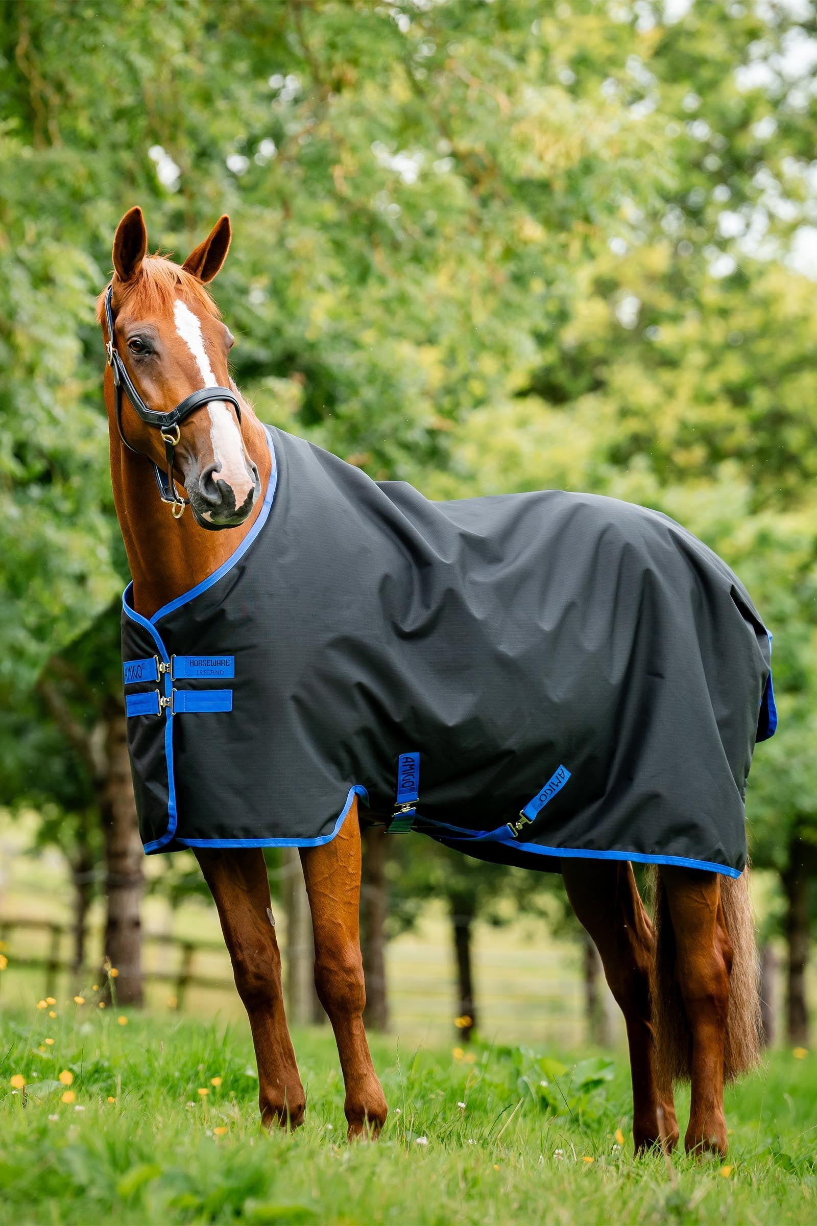 Horseware Amigo Ripstop 900D Fleece Lined Turnout Rug, 50 g Horse Rugs