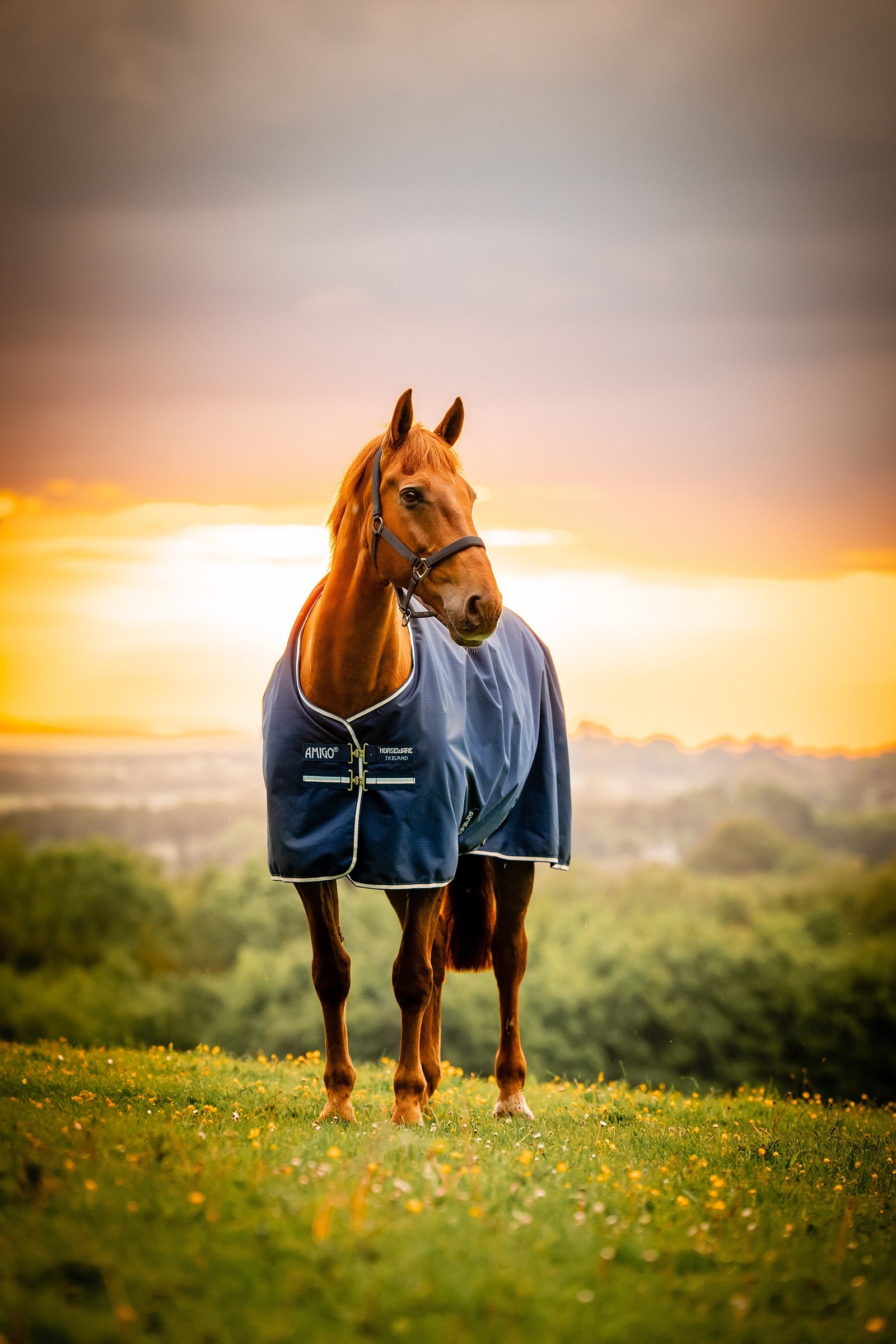 Horseware Amigo Ripstop 900D derka padokowa z podszyciem polarowym, 50 g Derki