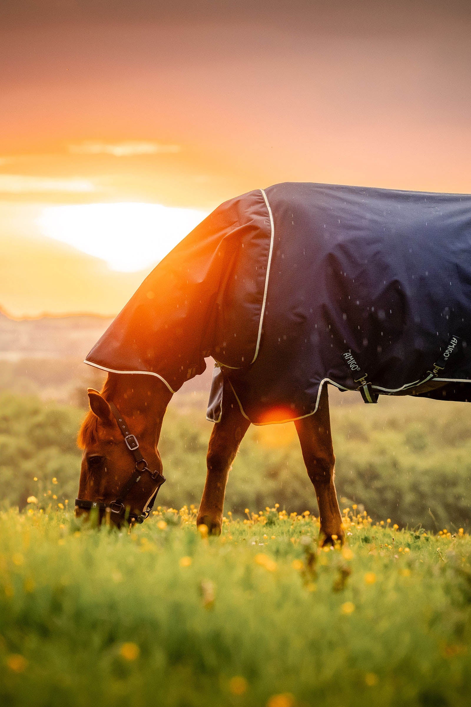 Horseware Amigo Ripstop 900D Plus derka padokowa, 200 g Derki