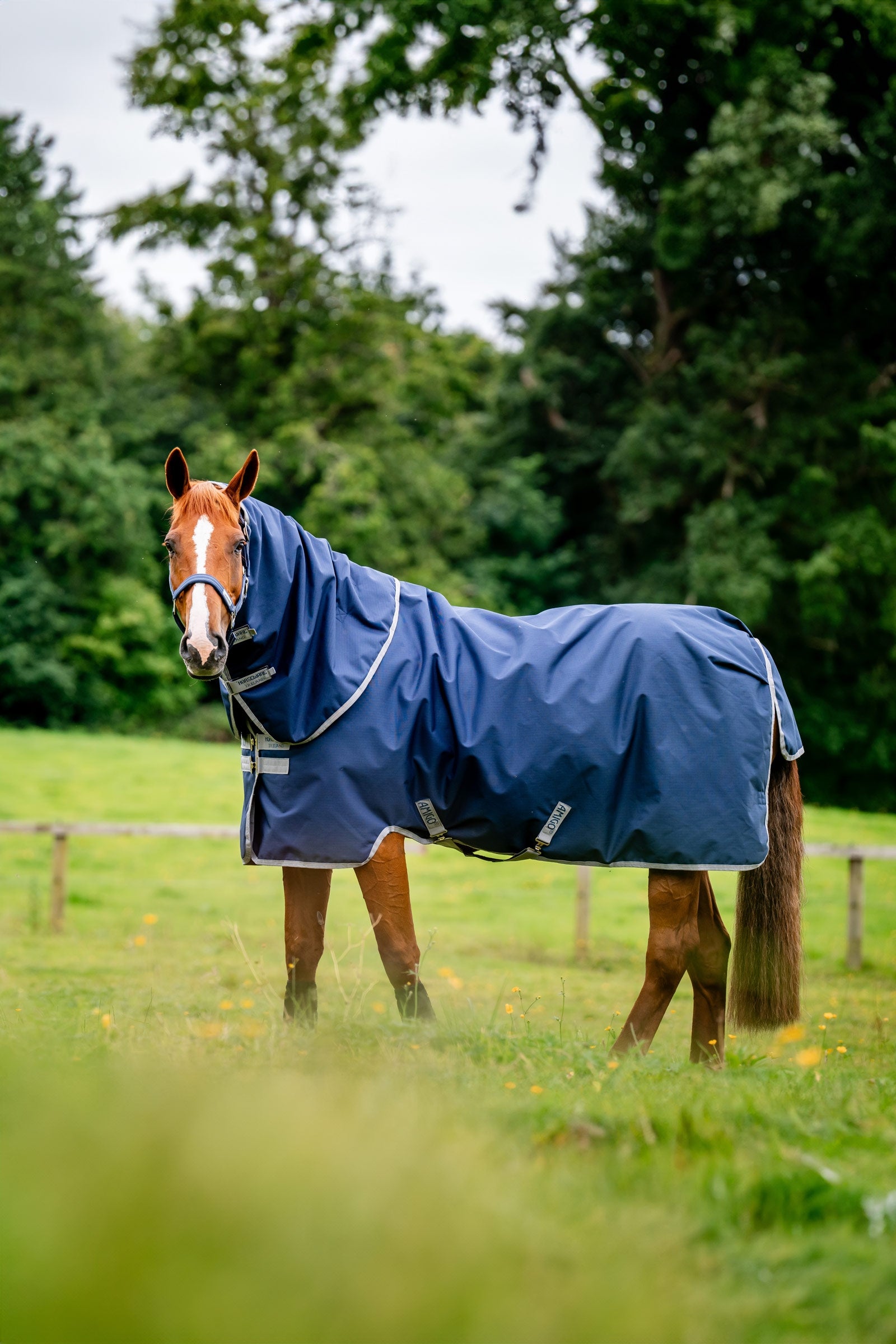 Horseware Amigo Ripstop 900D Plus Turnout, 200g Horse Rugs