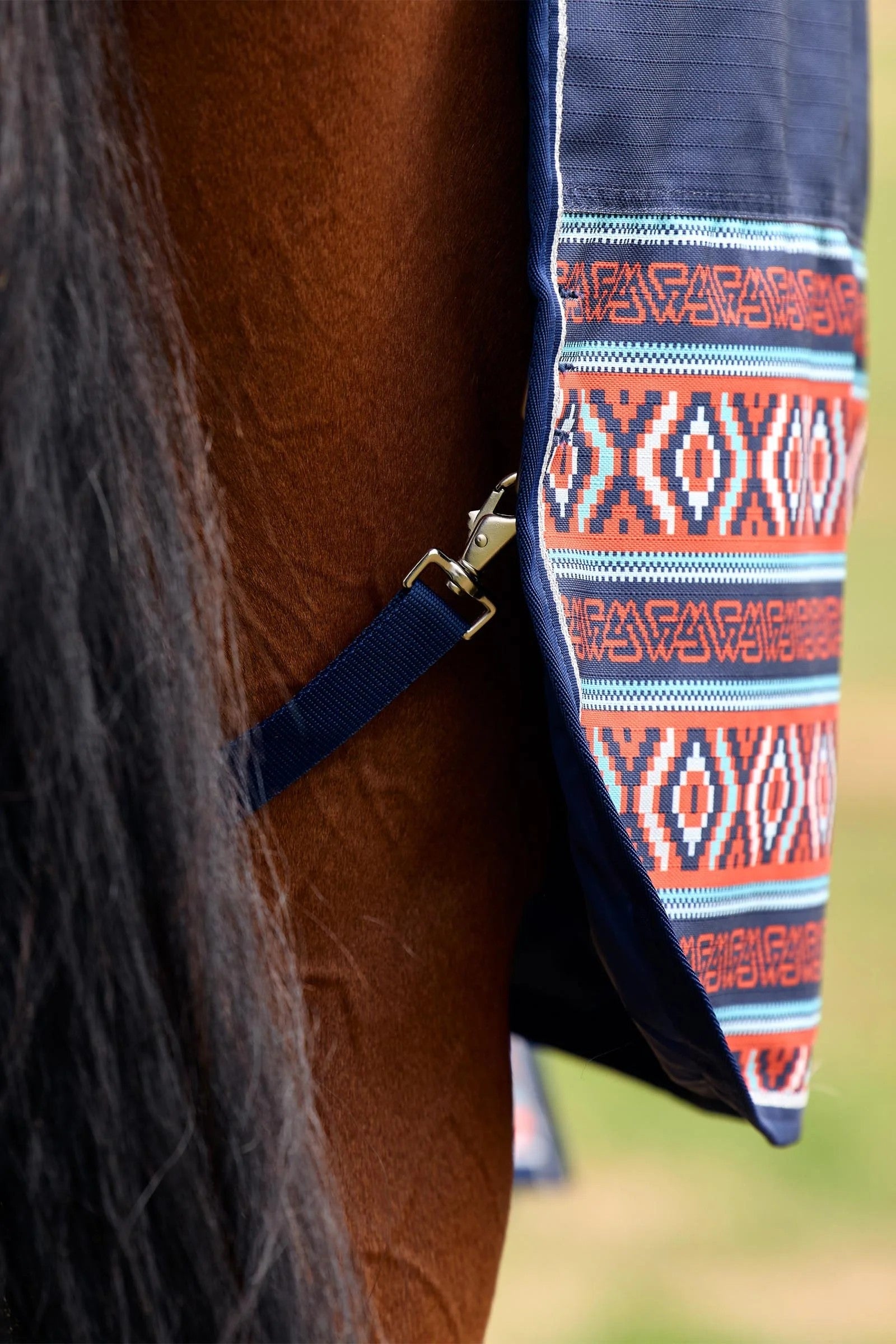 Weatherbeeta Comfitec Legend Turnout Rug Detach-A-Neck 220g Horse Rugs