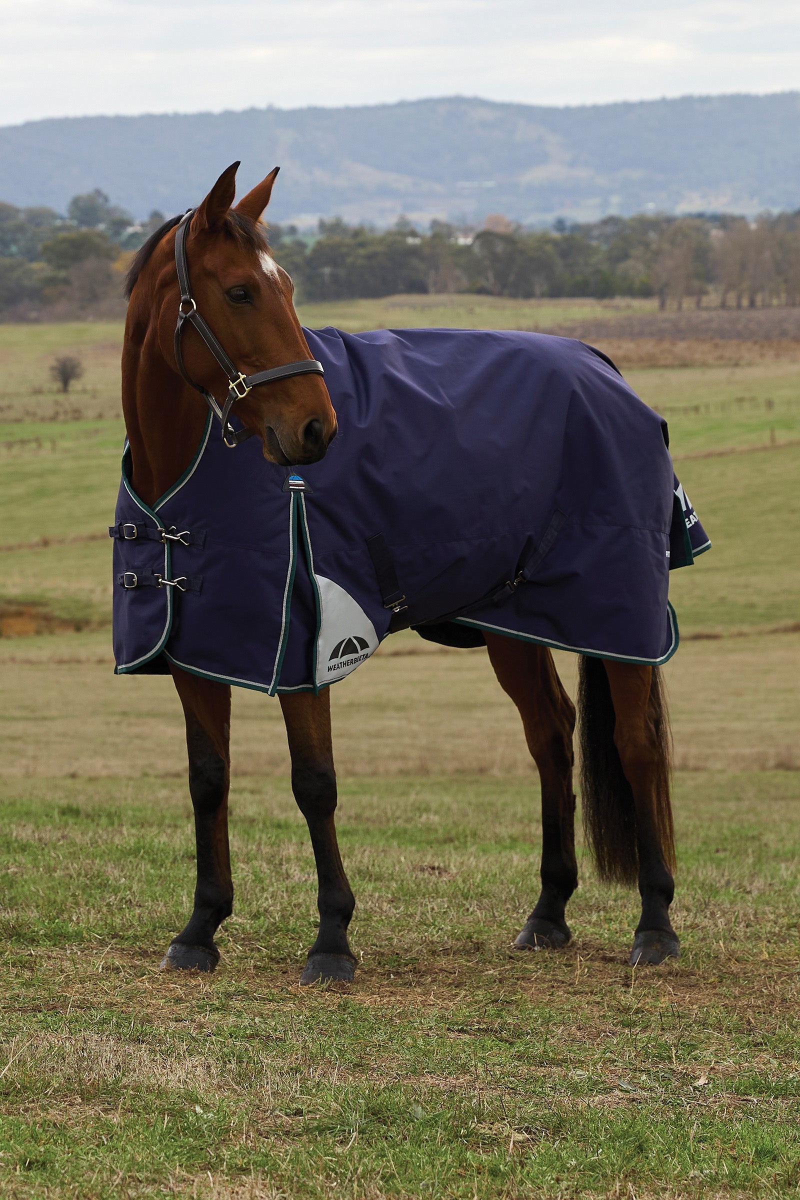 Weatherbeeta ComFiTecPlus Dynamic Turnout High Neck 100G Horse Rugs