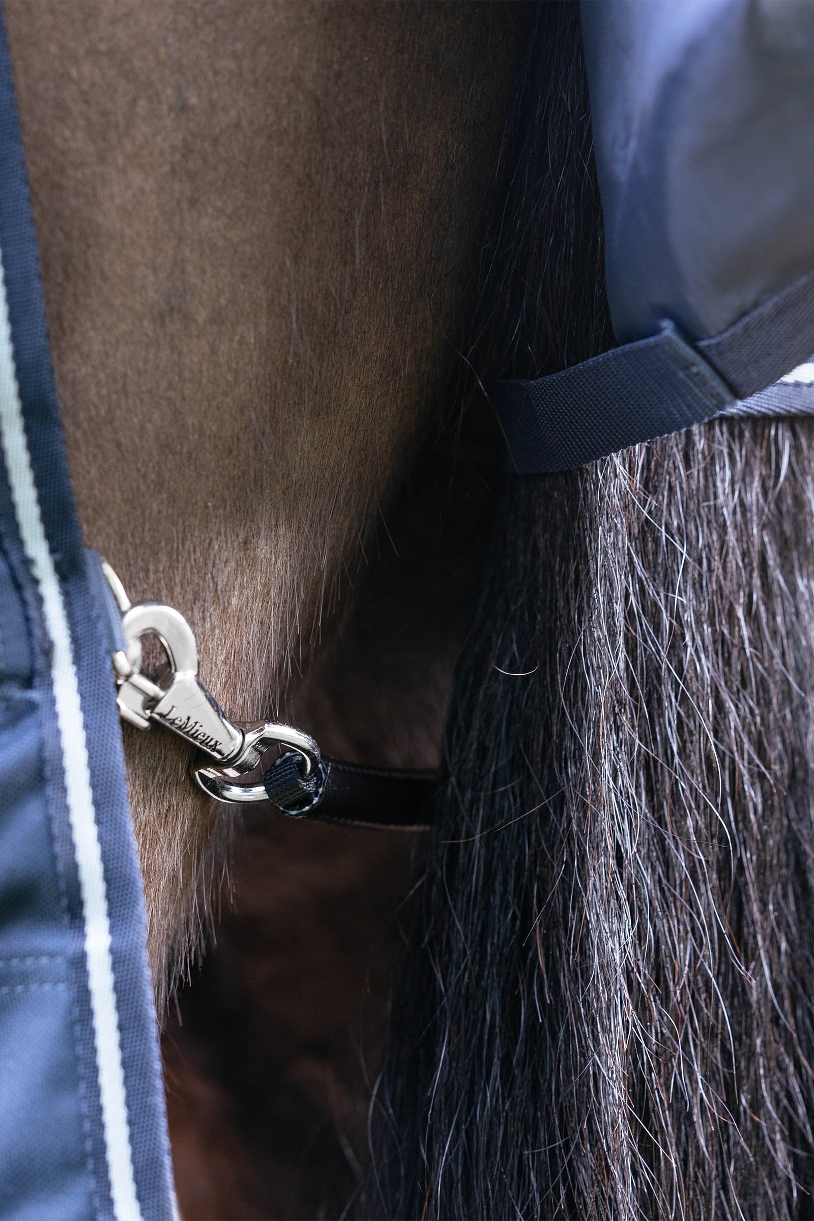 LeMieux Arika Storm-Tek Turnout Rug With Detachable Neck, 100 g Horse Rugs