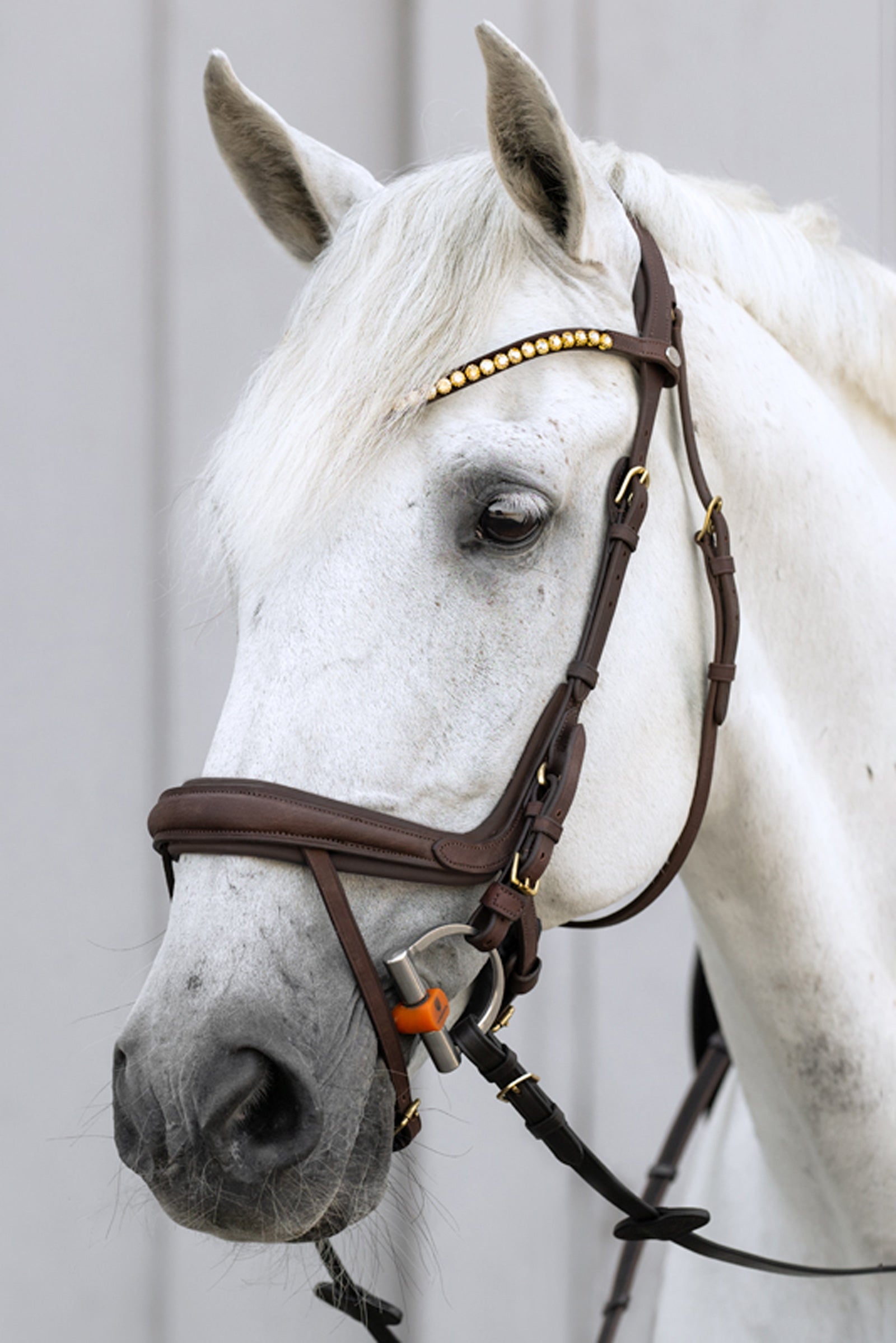 Kavalkade Caliano English Bridle With Flash Bridles & Reins