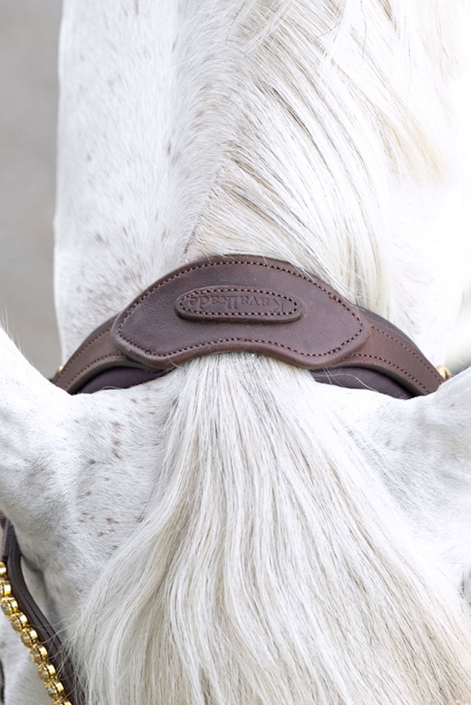 Kavalkade Caliano English Bridle With Flash Bridles & Reins