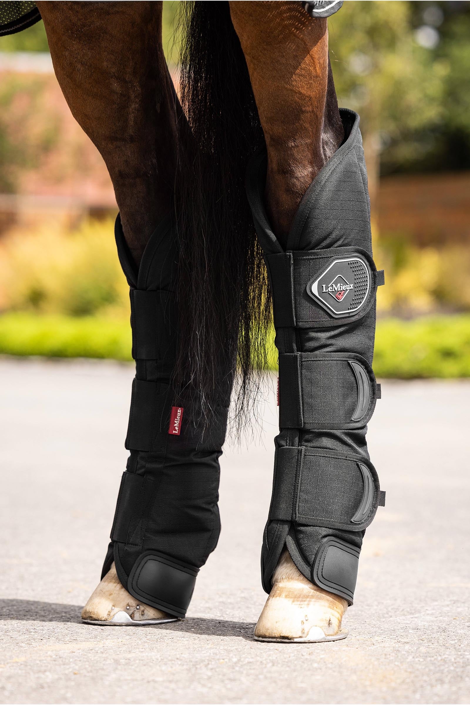 LeMieux Travel Boots Leg Protection & Hoof Protection for Horses