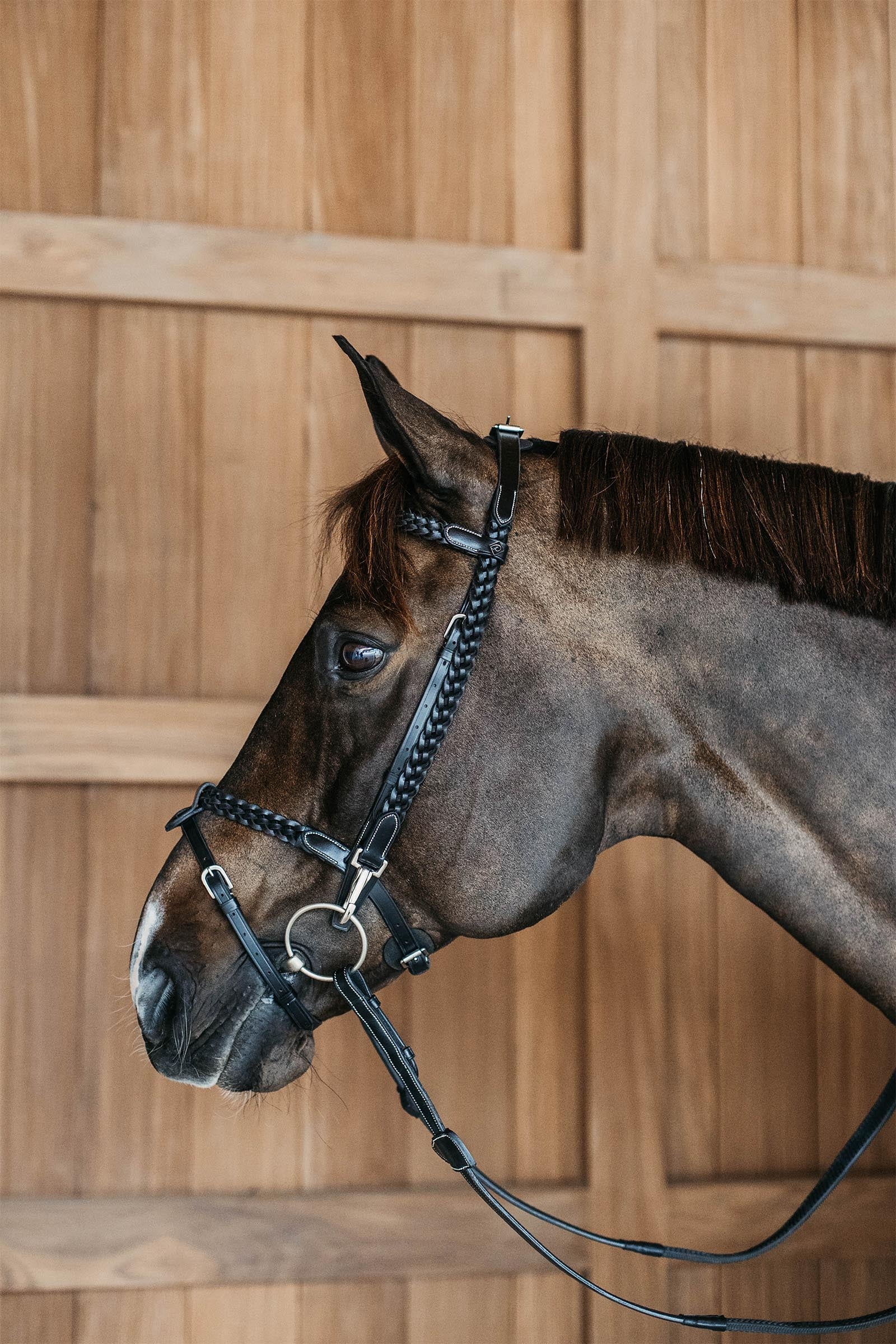 Dy'on Working Plaited Training Bridle Bridles & Reins