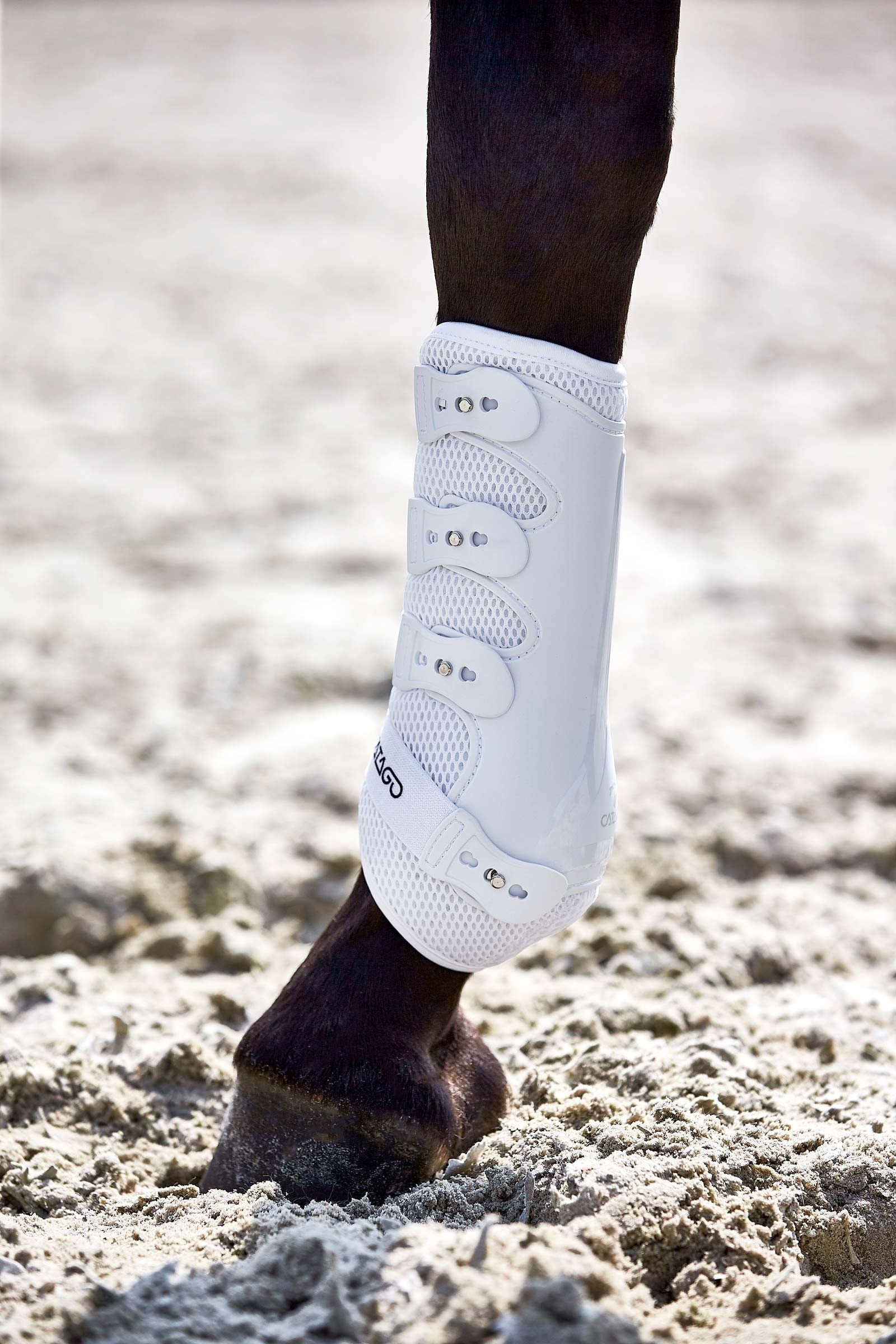 Catago FIR-Tech Dressage Boots Leg Protection & Hoof Protection for Horses