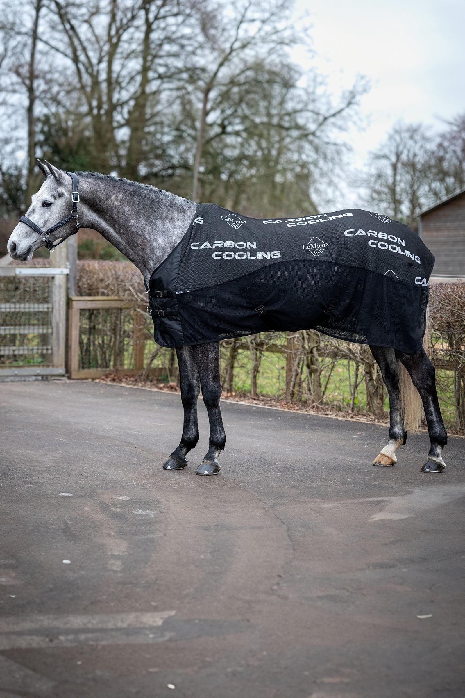 LeMieux Carbon Cooler Rug Horse Rugs