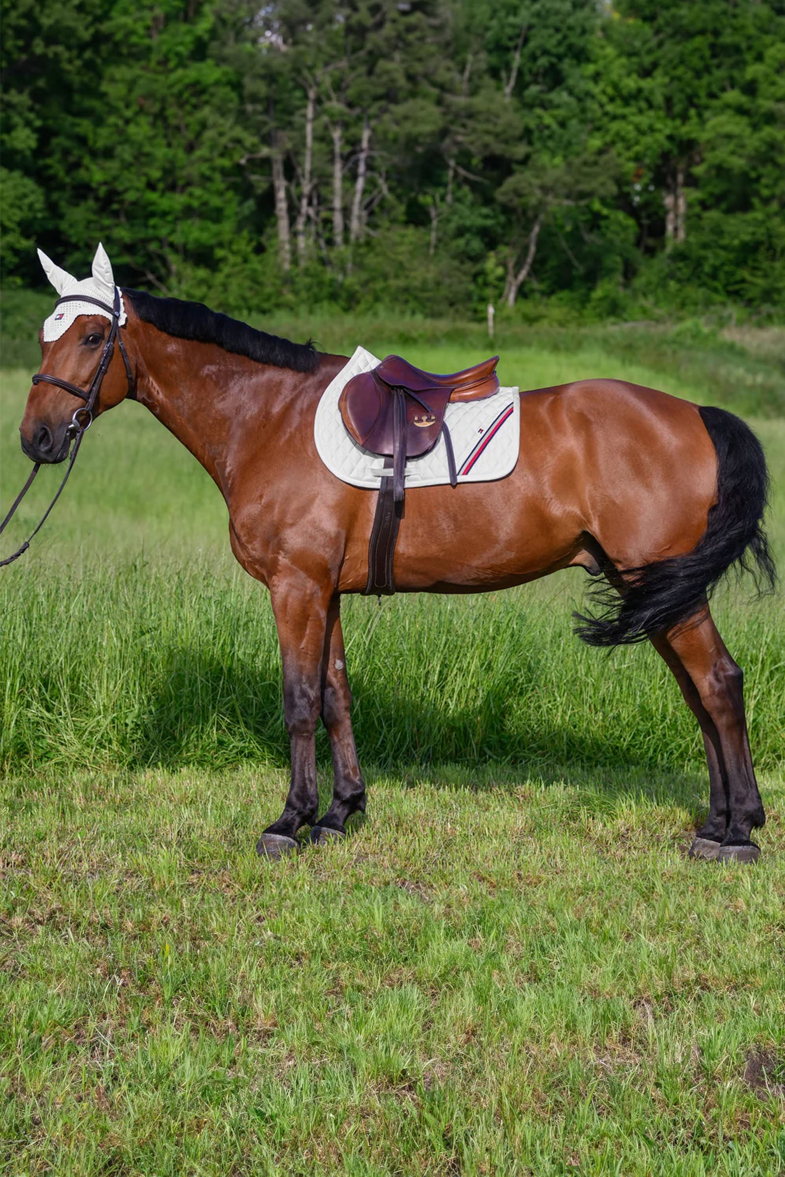 Tommy Hilfiger Equestrian Stanford Jumping Saddlepad Saddle Pads