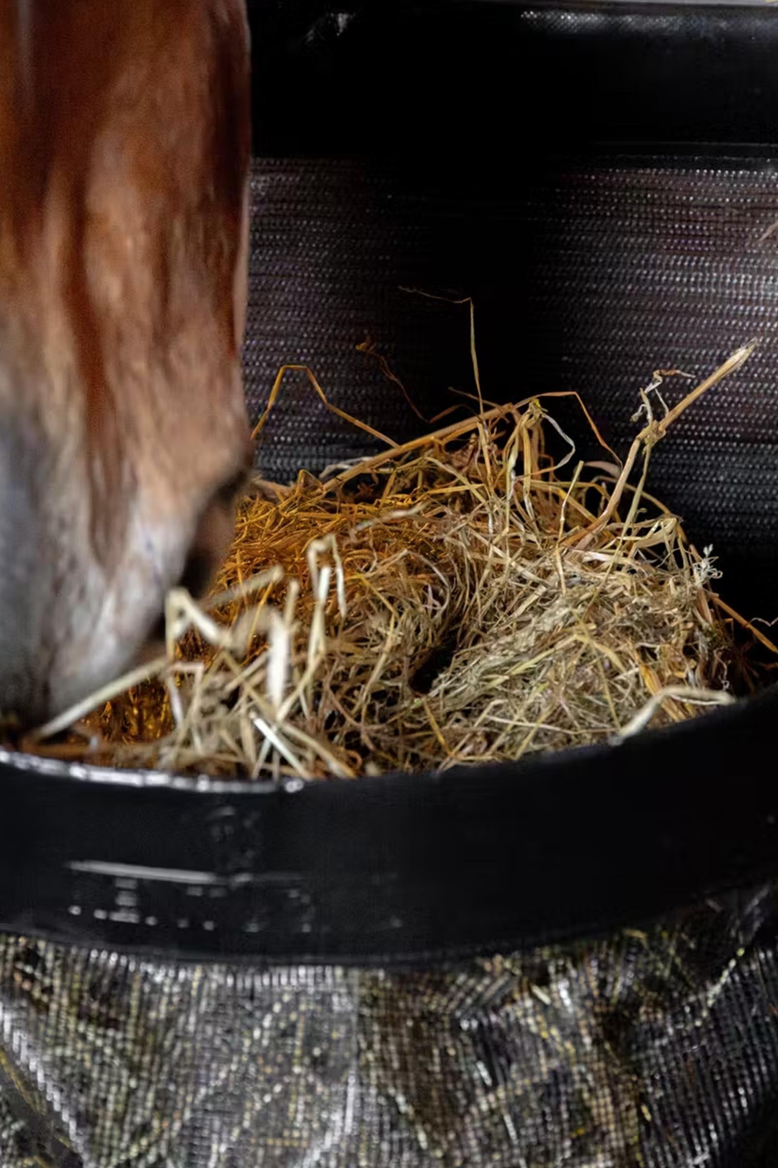 Kentucky Horsewear Kentucky Horseware Straight Hay Bag, Medium Horse Feeders & Waterers