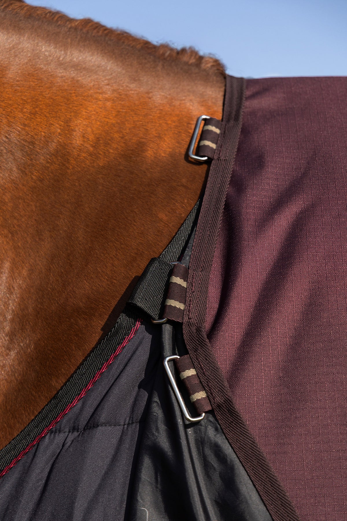 LeMieux Arika Ripstop Turnout Rug With Detachable Neck, 100 g Horse Rugs