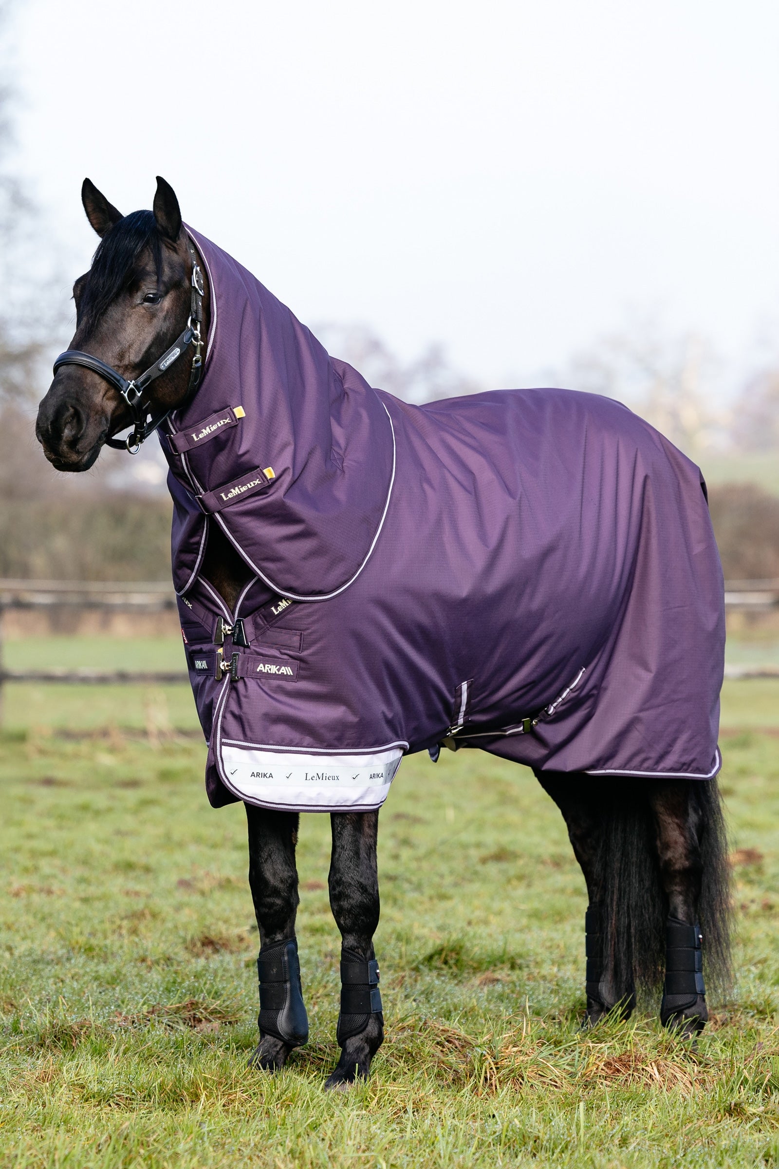 LeMieux Arika Ripstop Turnout Rug With Detachable Neck, 100 g Derki