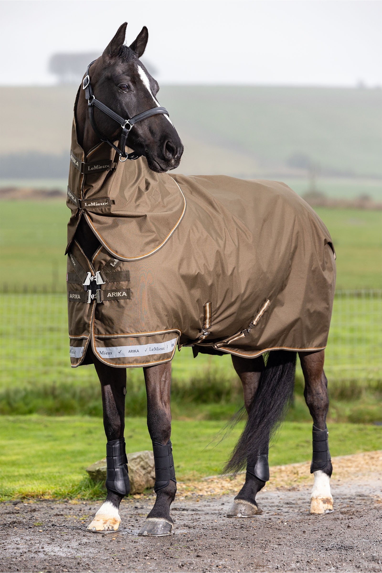 LeMieux Arika Ripstop Turnout Rug With Detachable Neck, 100 g Derki