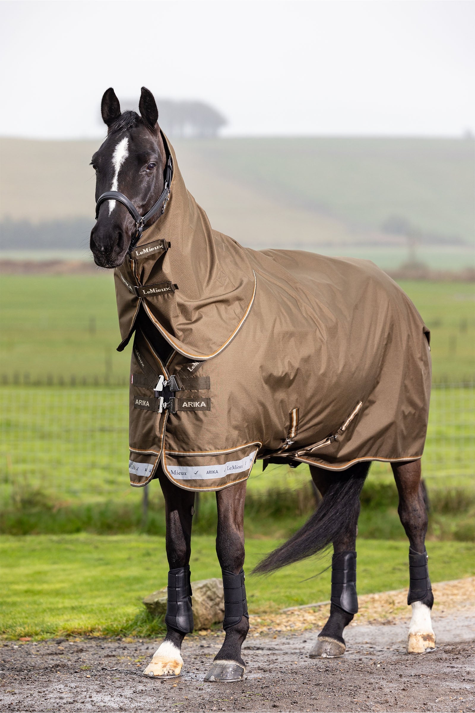 LeMieux Arika Ripstop Turnout Rug With Detachable Neck, 100 g Horse Rugs