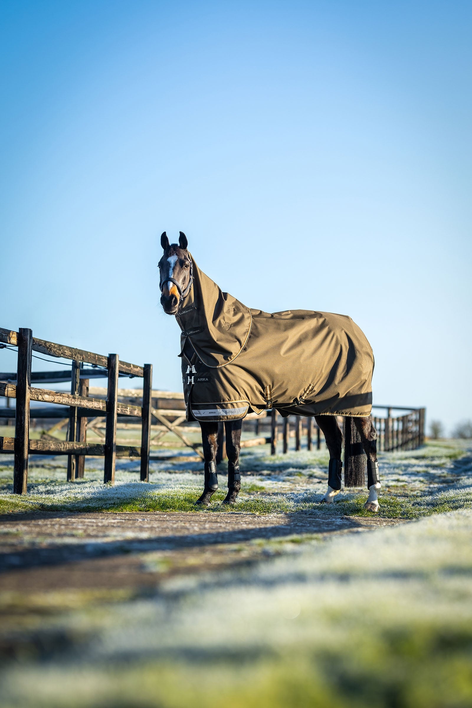 LeMieux Arika Ripstop Turnout Rug With Detachable Neck, 100 g Horse Rugs