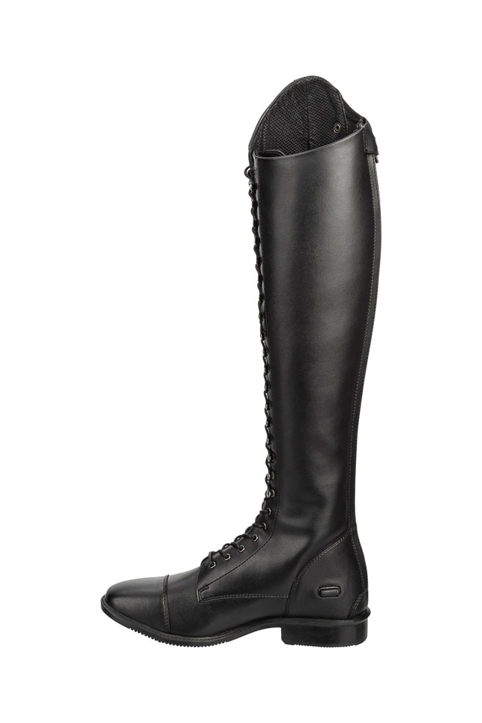 Suedwind Footwear Legacy Venado Vegan Lace Tall Riding Boots Riding Boots & Riding Shoes