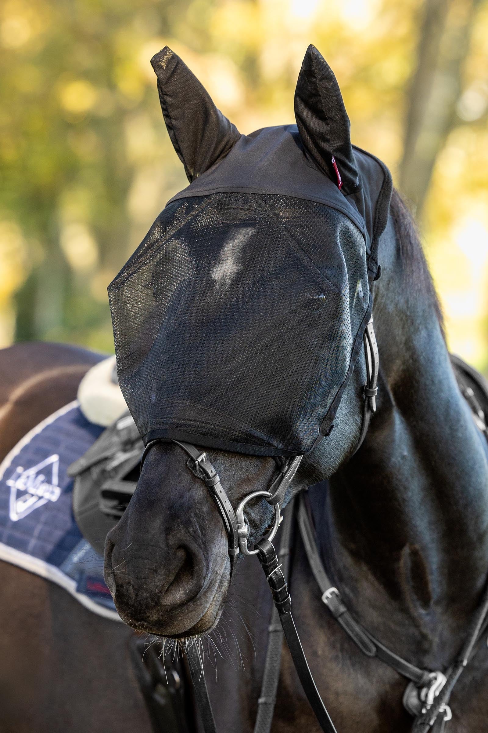 LeMieux Ride On Mask Antifly Protection for Horses