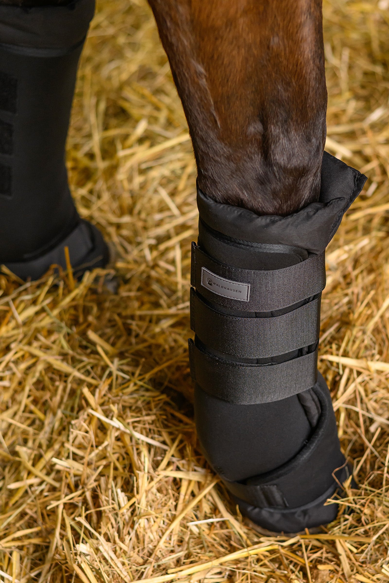Waldhausen Horse Stable Boots Leg & Hoof Protection