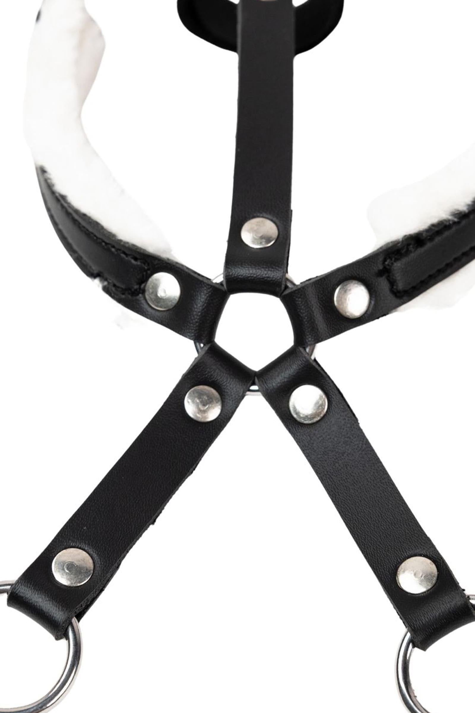 My Hobby Horse Martingal Gifts & Toys