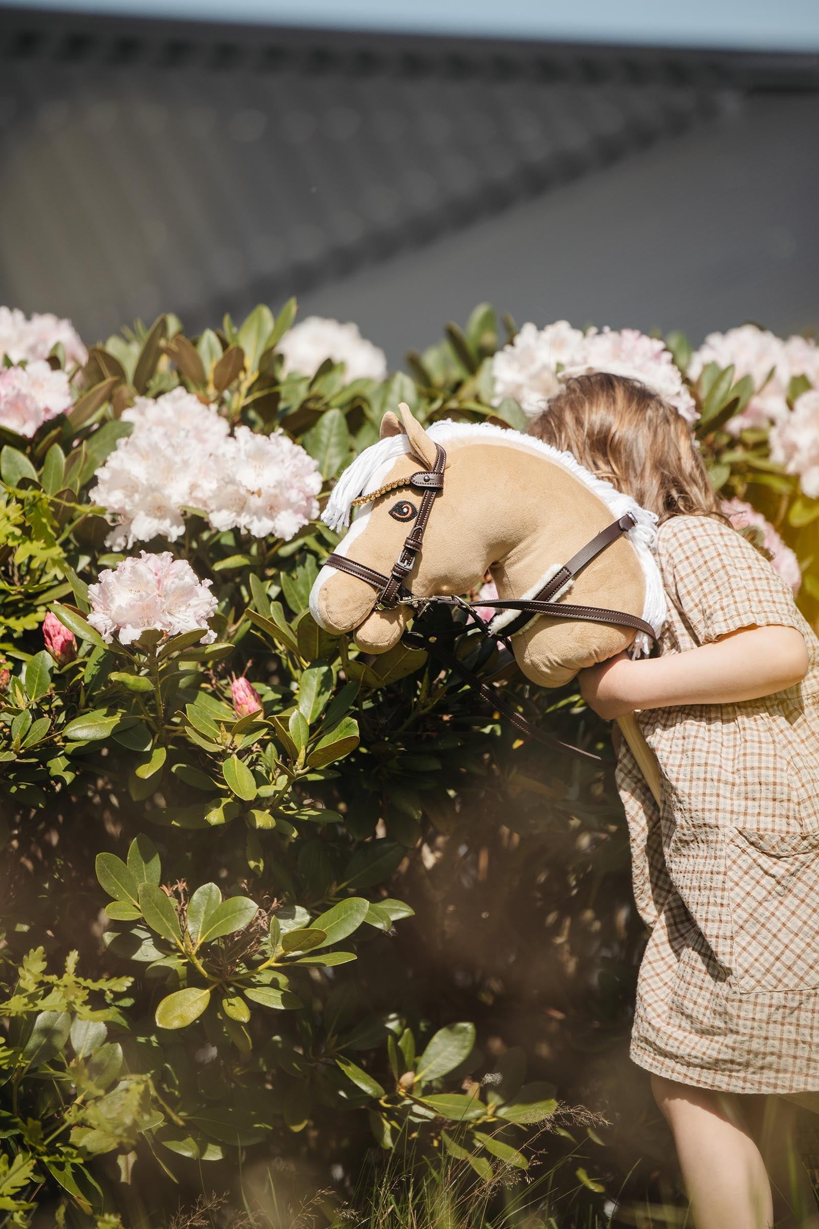 My Hobby Horse Martingal Gifts & Toys