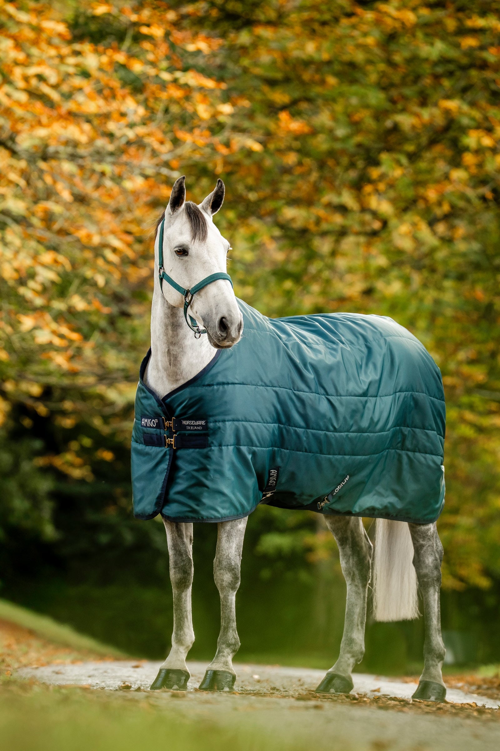 Horseware Amigo Ripstop Insulator derka stajenna, 200g Derki