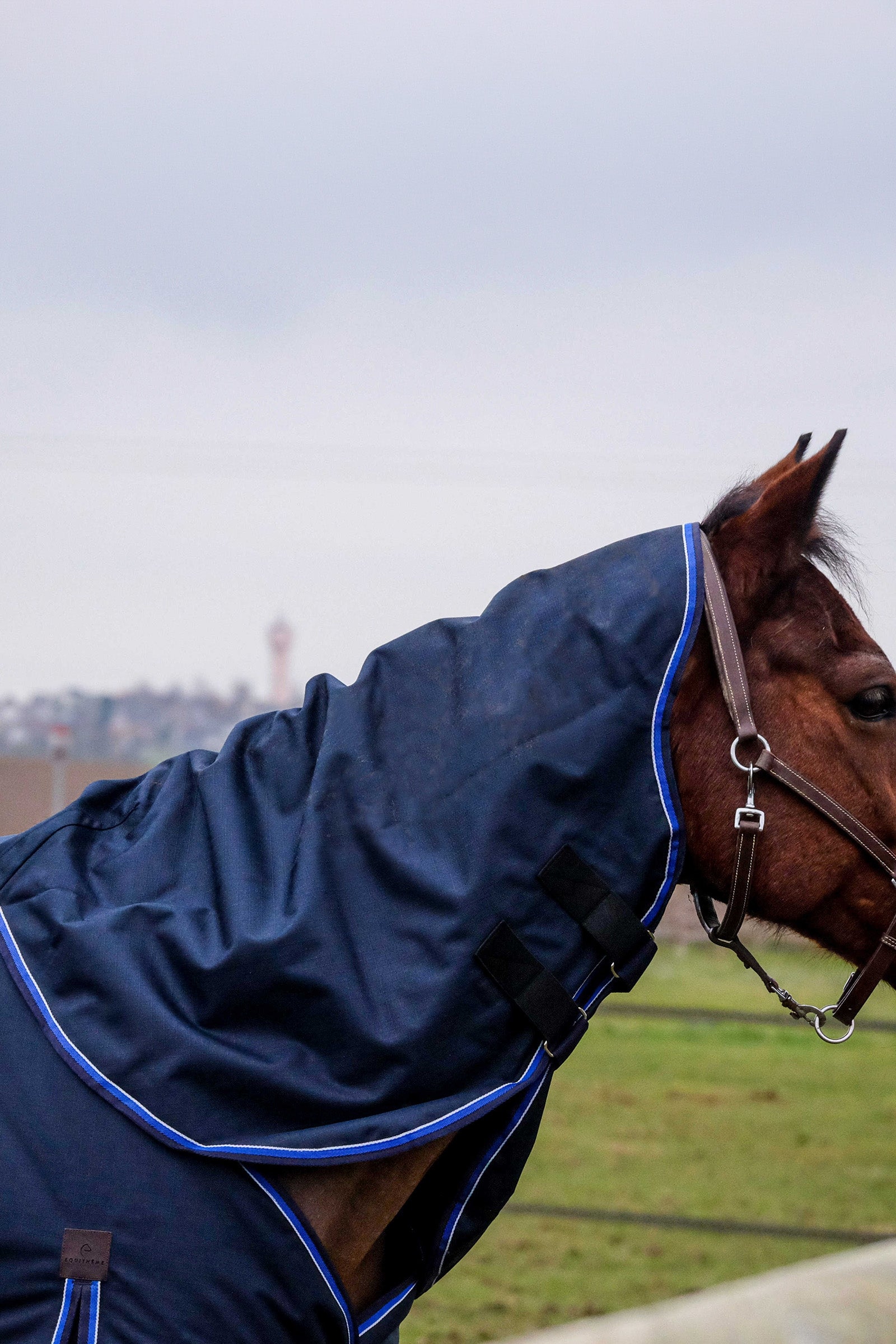 Equi Theme EQUITHÈME Classic 1200D Neck Cover, 0 g Horse Rugs