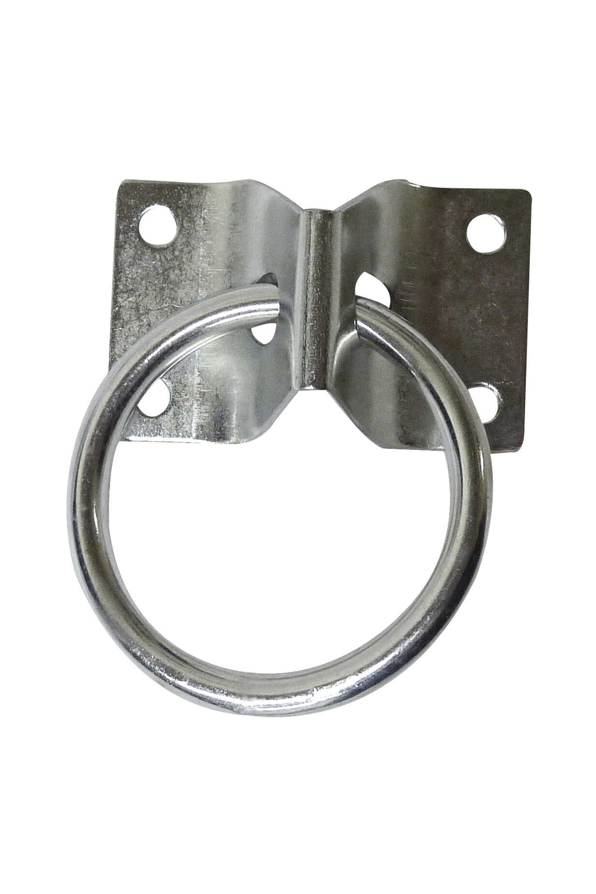 HIPPOTONIC Tie Ring On Screw Plate Stable Equipment