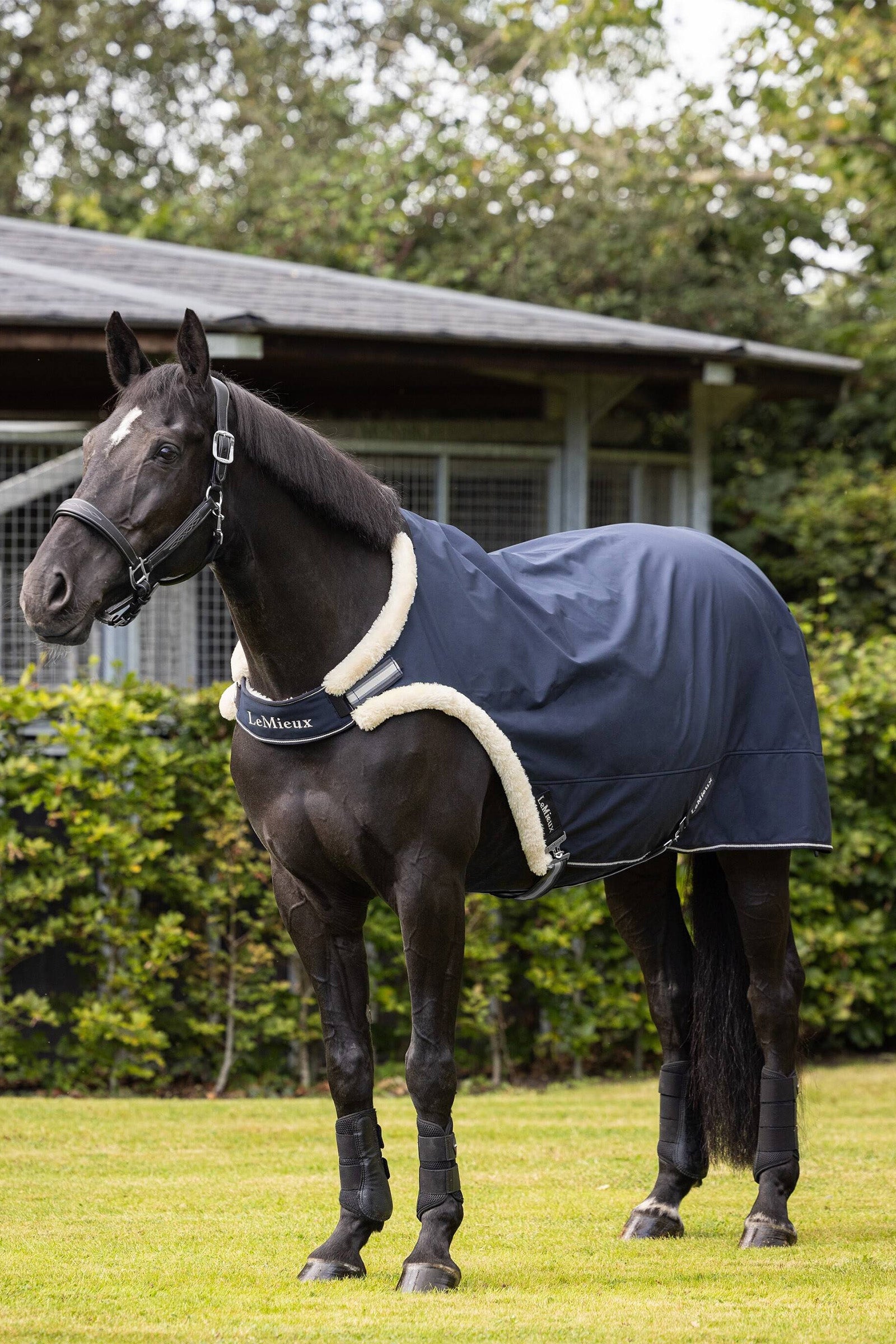 LeMieux Walker Rug Horse Rugs