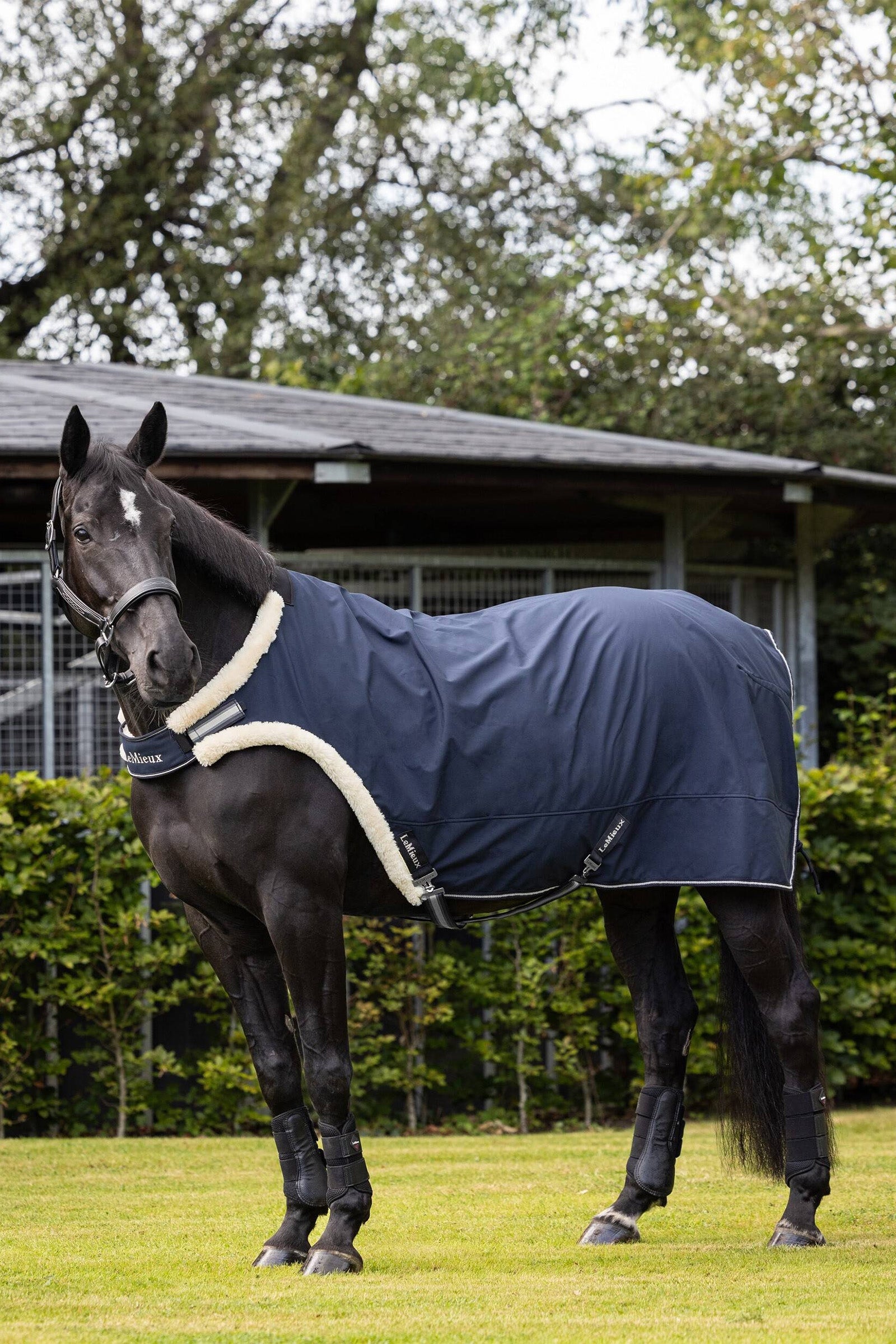 LeMieux Walker Rug Horse Rugs