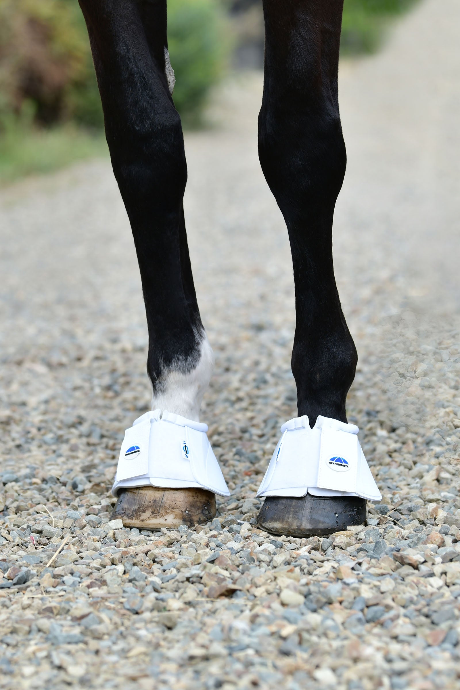 Weatherbeeta Tough-Tec Impact Bell Boots Leg & Hoof Protection