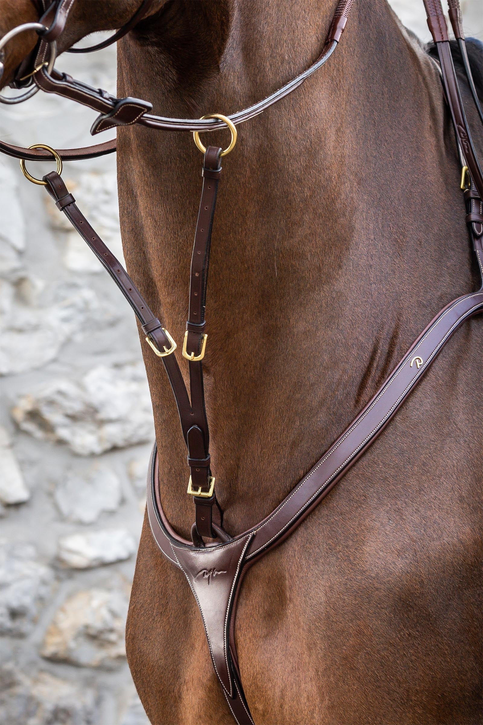 Dy'on D Collection Running Martingale Bridles & Reins