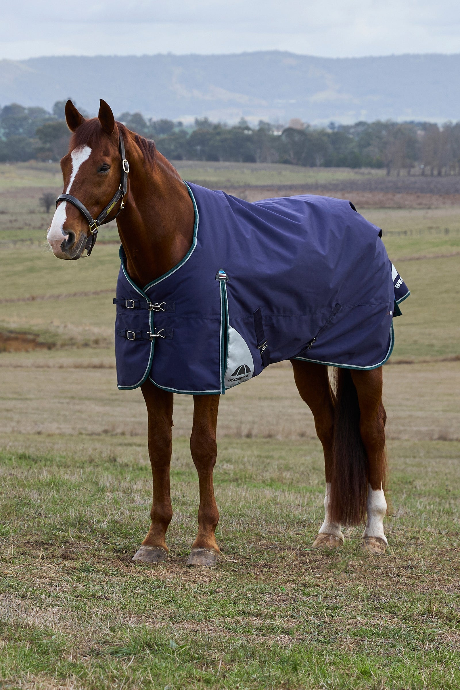Weatherbeeta ComFiTecPlus Dynamic Turnout Detach-a-Neck, 100 g Derki