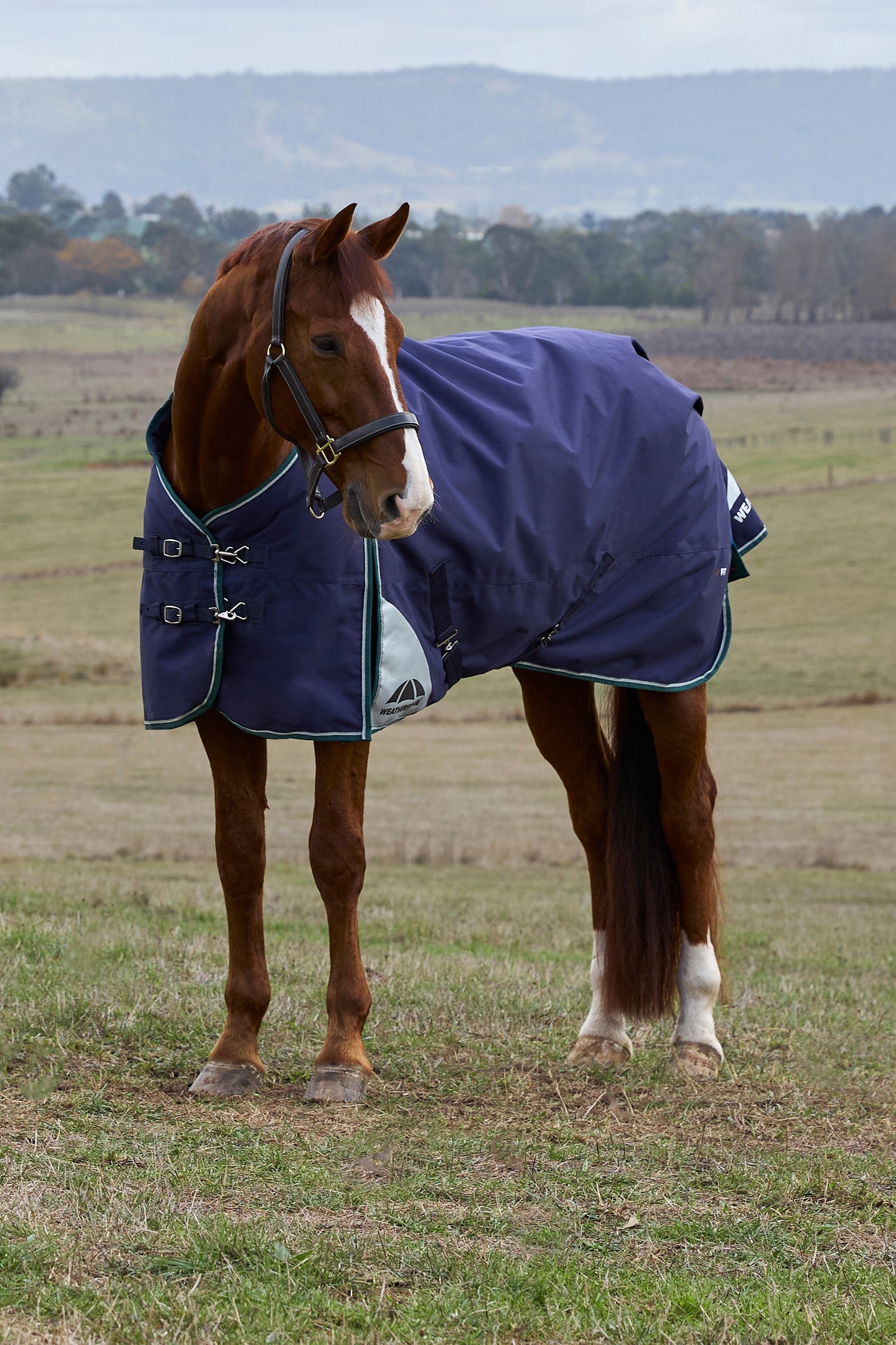 Weatherbeeta ComFiTecPlus Dynamic Turnout Detach-a-Neck, 100 g Horse Rugs