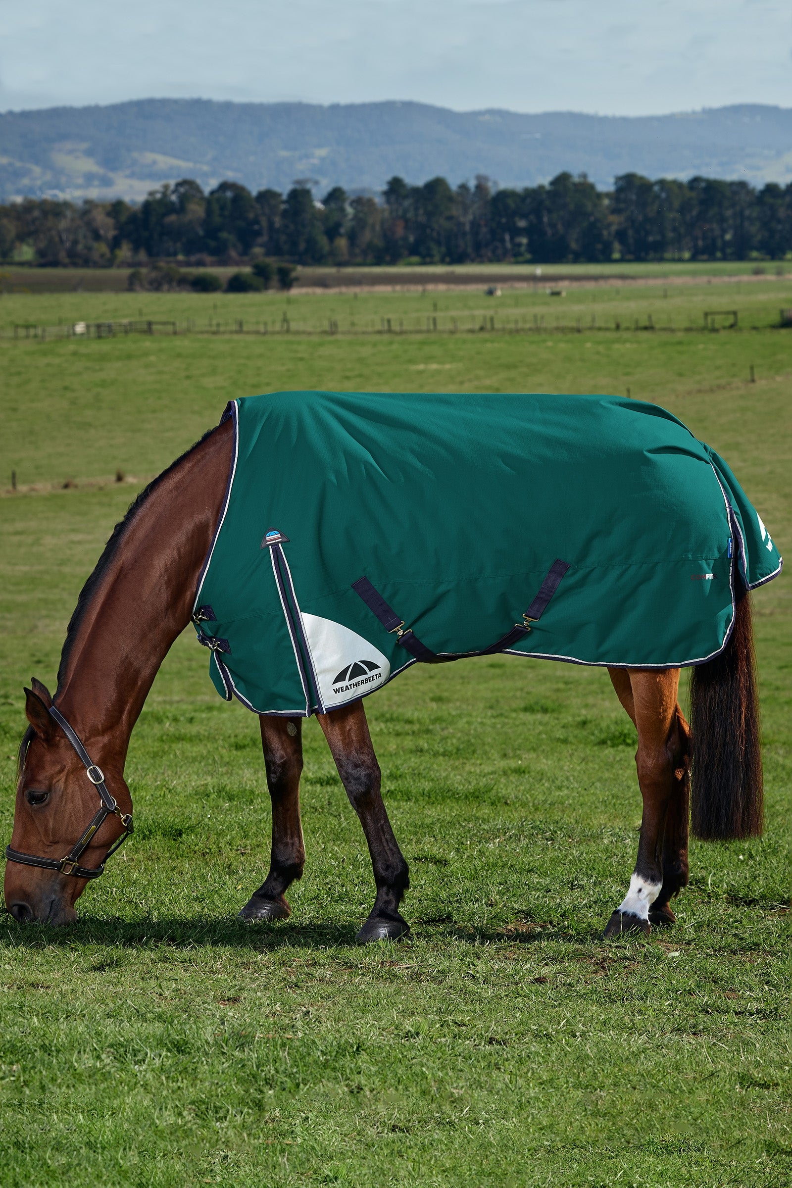 Weatherbeeta ComFiTecPlus Dynamic Turnout Detach-A-Neck 100G Horse Rugs