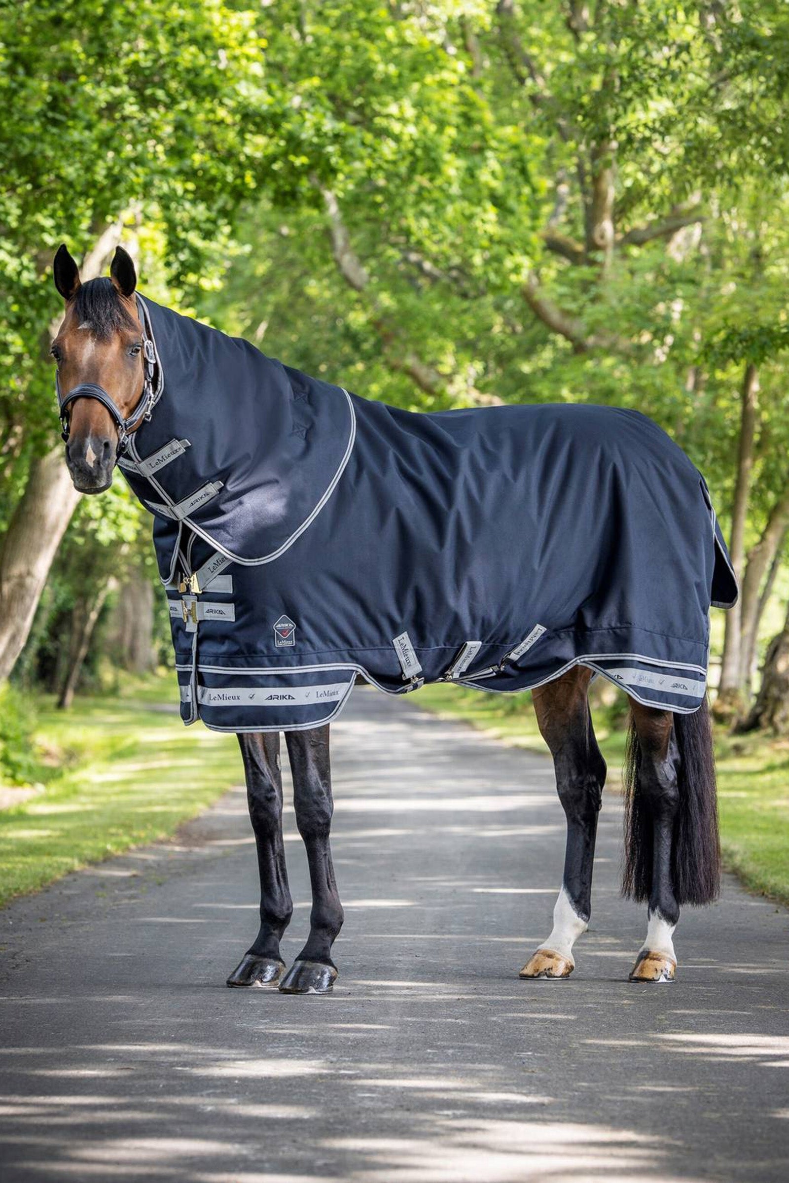LeMieux Arika Storm-Tek Lightweight Turnout Rug, 100g Derki