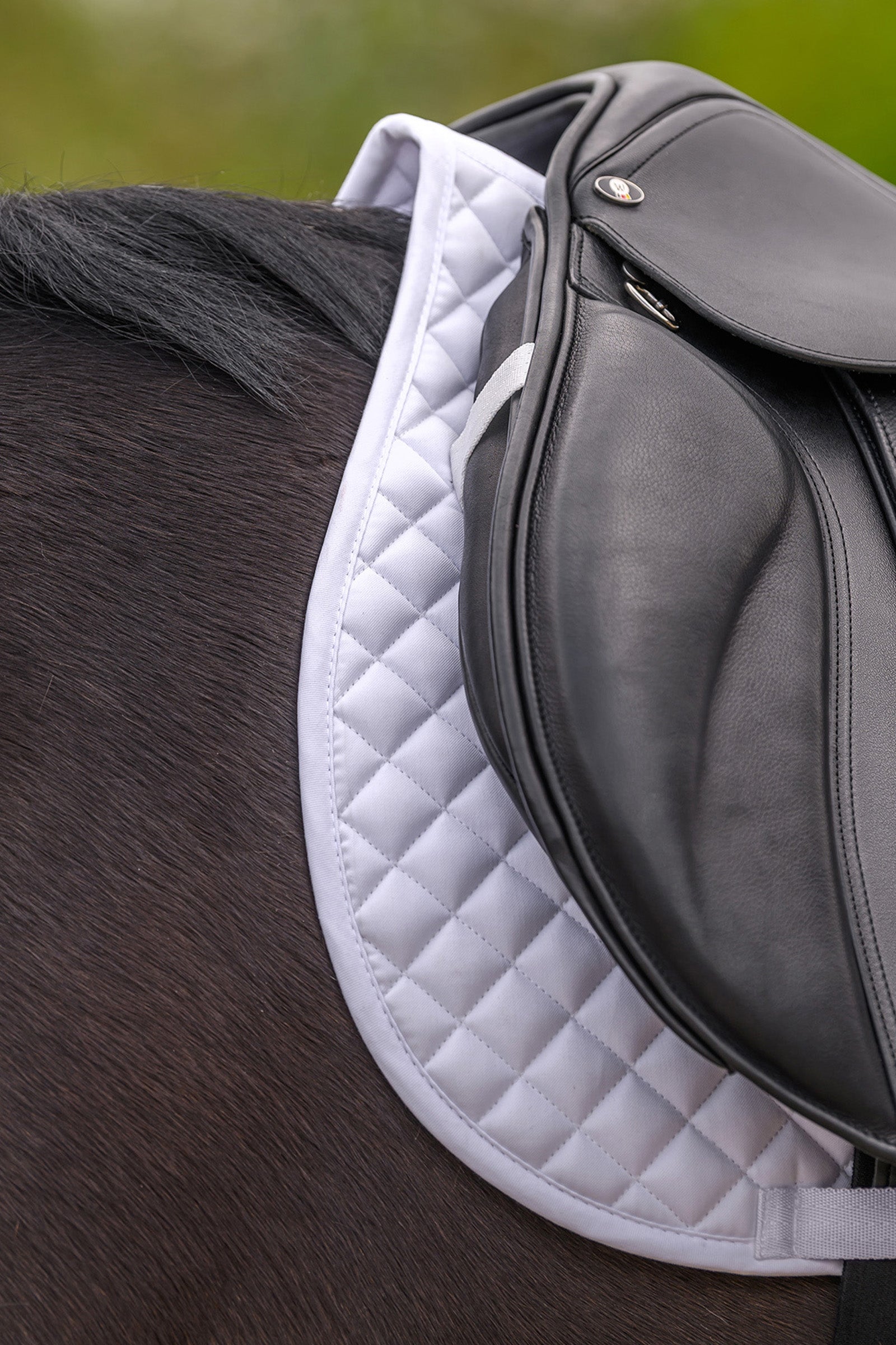 Waldhausen Felix Universal Saddle Pad Saddle Pads