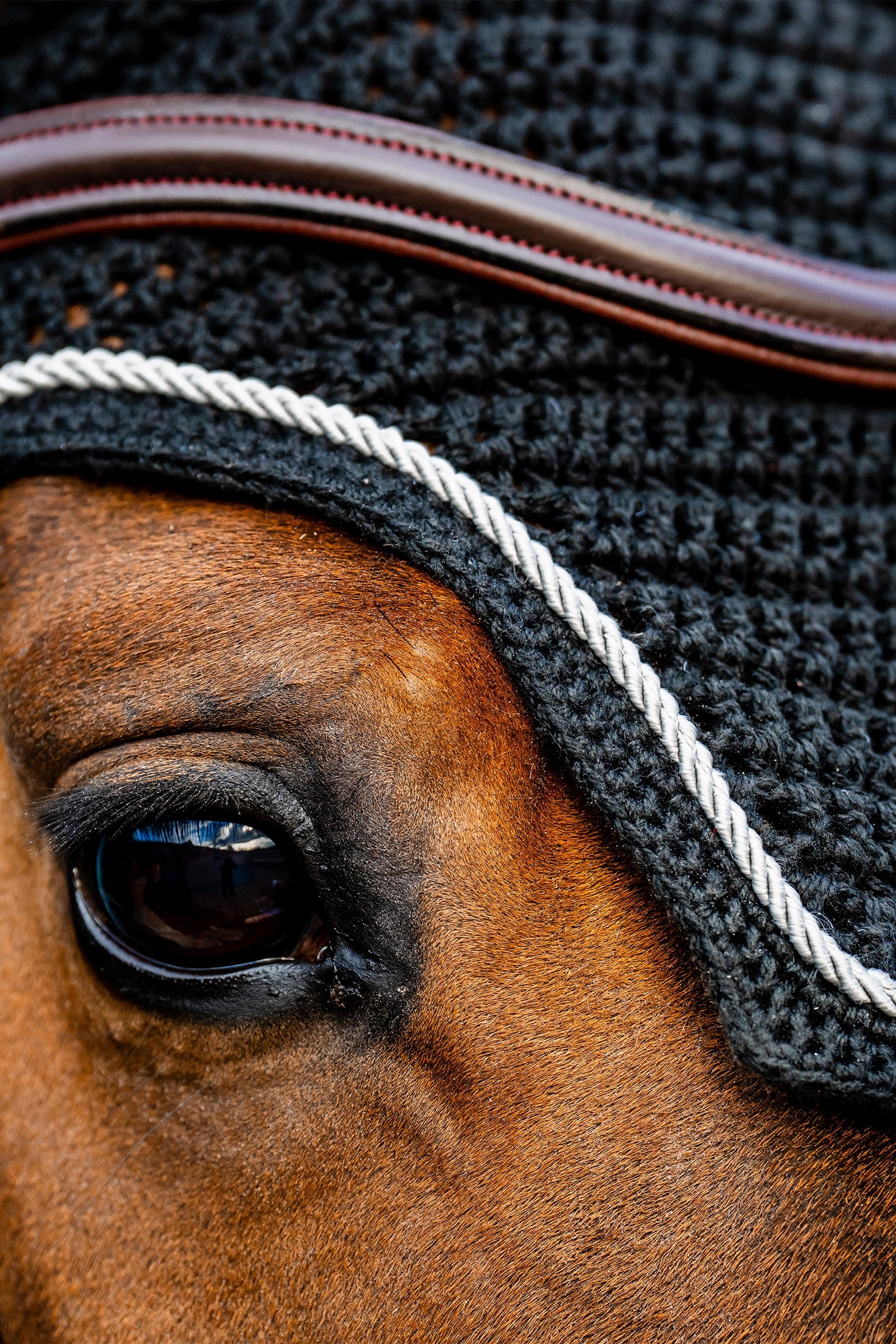 Horseware Signature Ear Net Saddle Pads