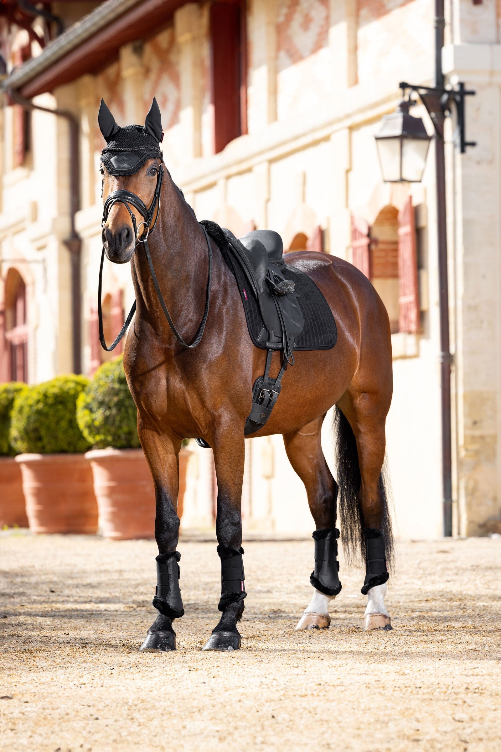 LeMieux Merino+ Dressage Saddle Pad Suede-effect, half lined Saddle Pads