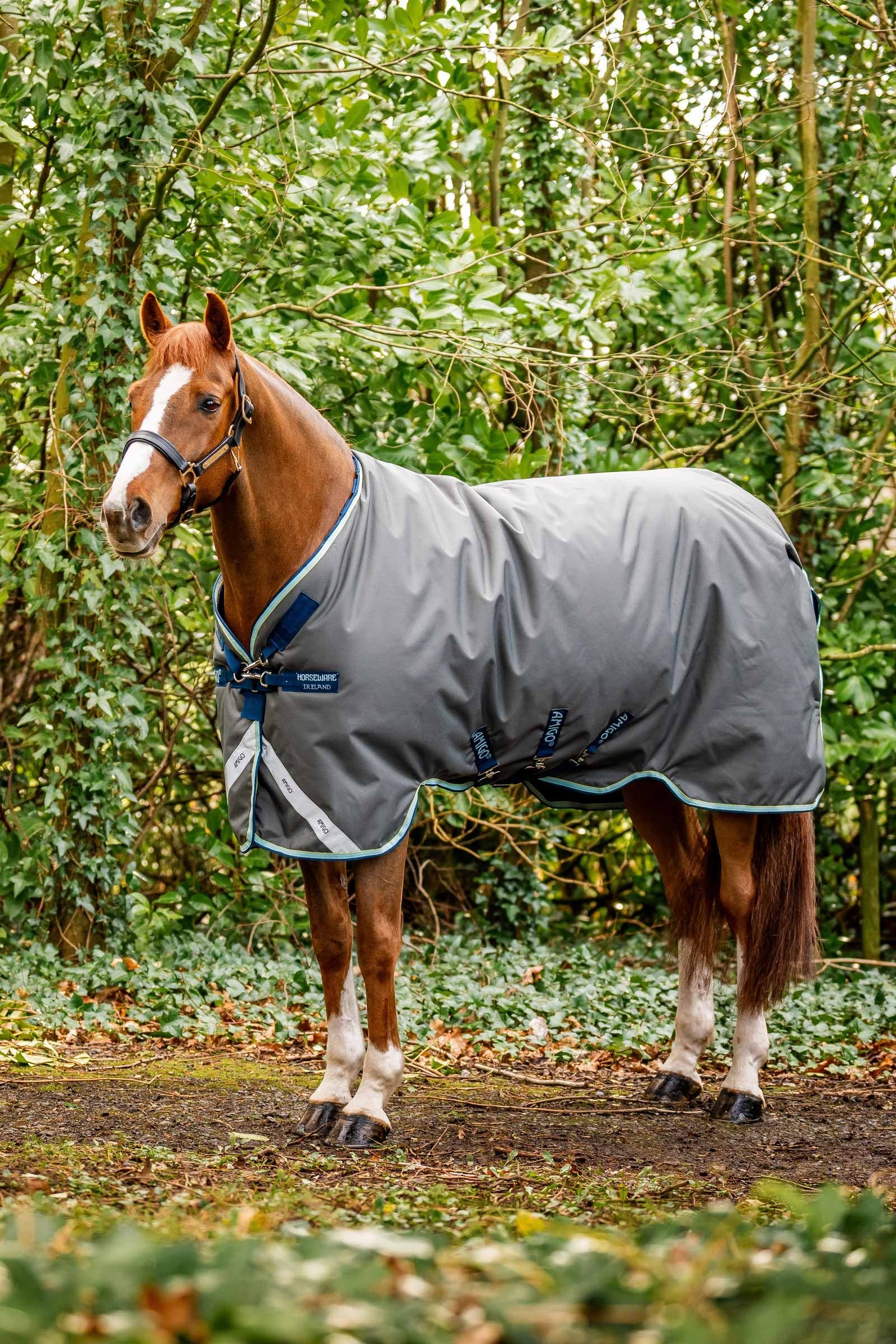 Horseware Amigo Bravo 12 Plus derka padokowa z odpinanym szyją, 400g Derki