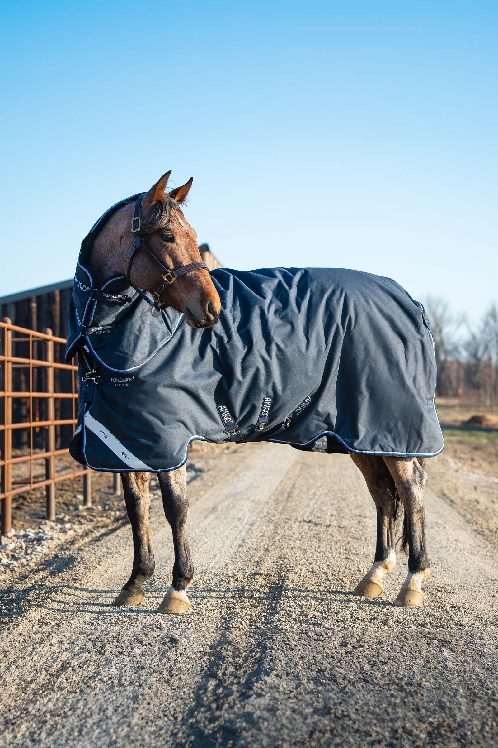 Horseware Amigo Bravo 12 Plus derka padokowa z odpinanym szyją, 400g Derki