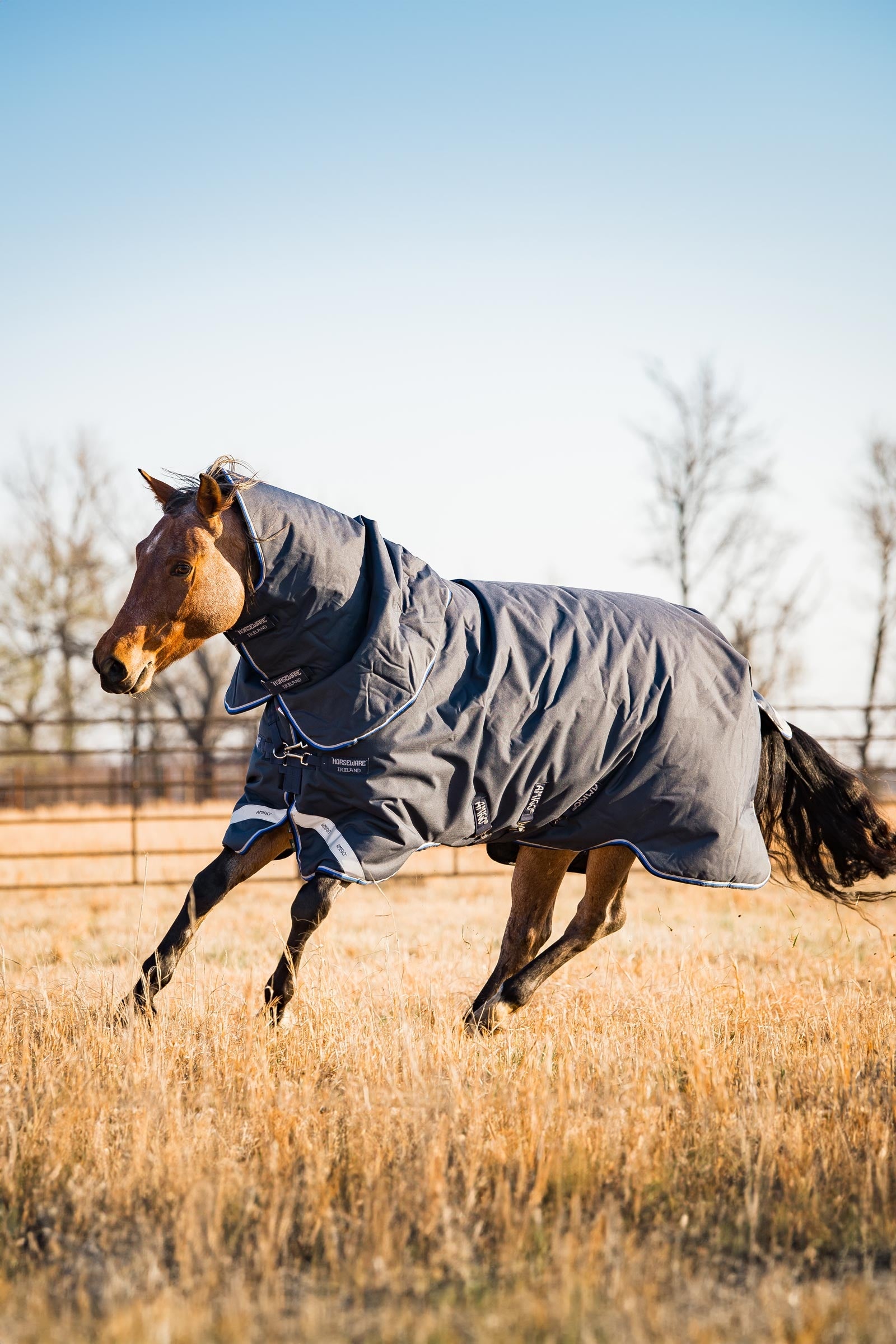 Horseware Amigo Bravo 12 Plus Turnout Rug With Detachable Neck, 400g Horse Rugs