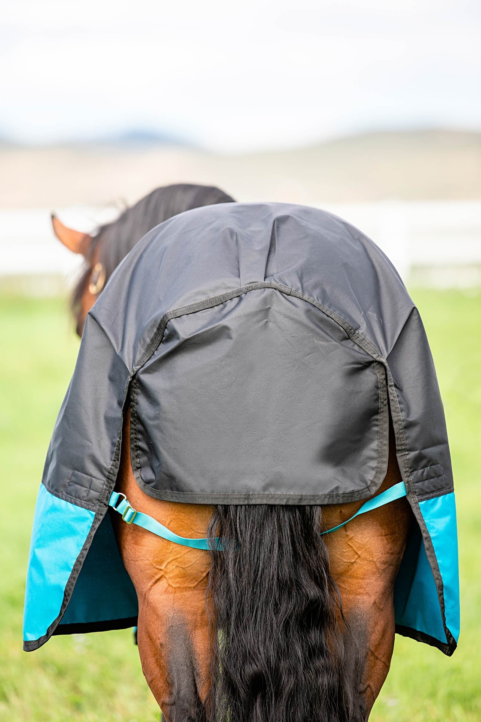 Horseware Mio Turnout Rug, 200g Horse Rugs