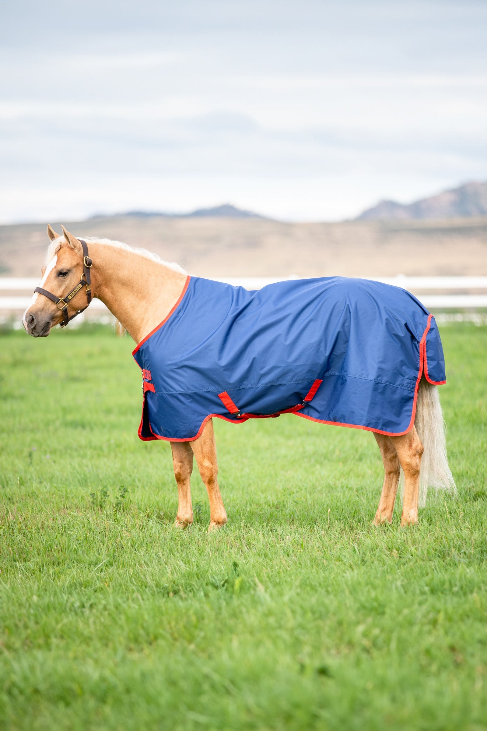 Horseware Mio Turnout Rug, 200g Horse Rugs