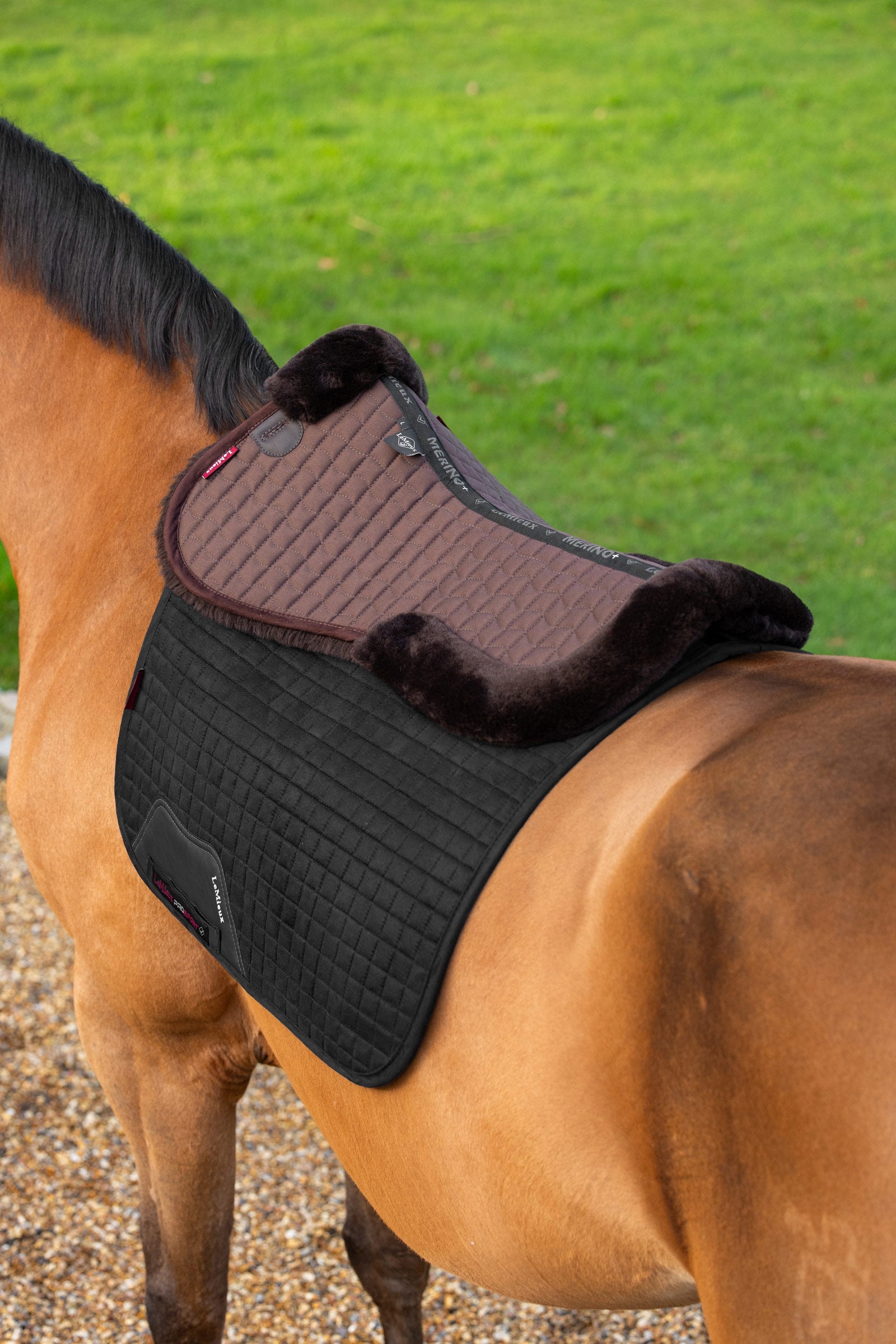 LeMieux Merino+ Half Pad Saddle Pads