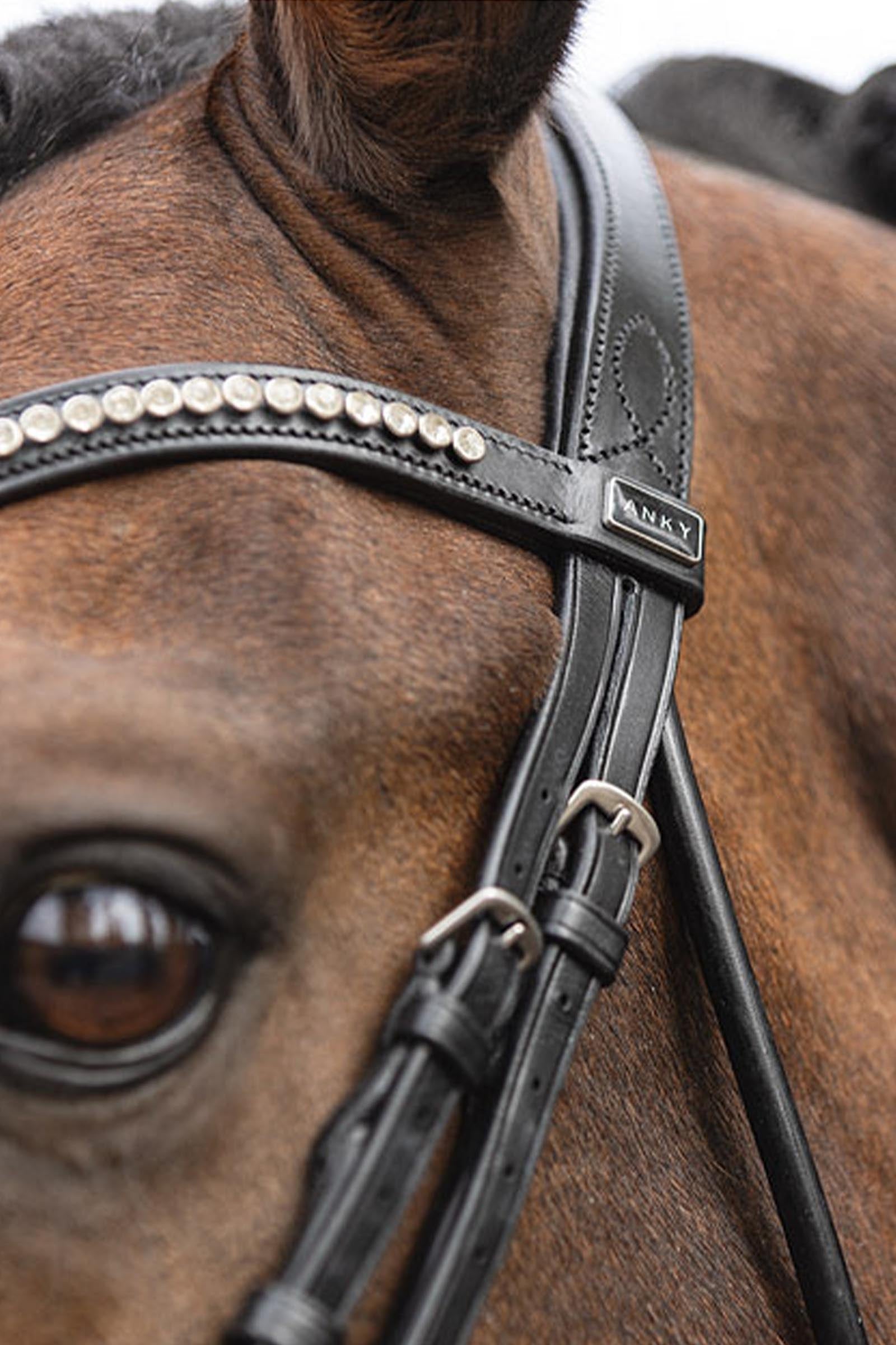 Anky ANKY Anatomic Bridle Shaped Noseband Bridles & Reins