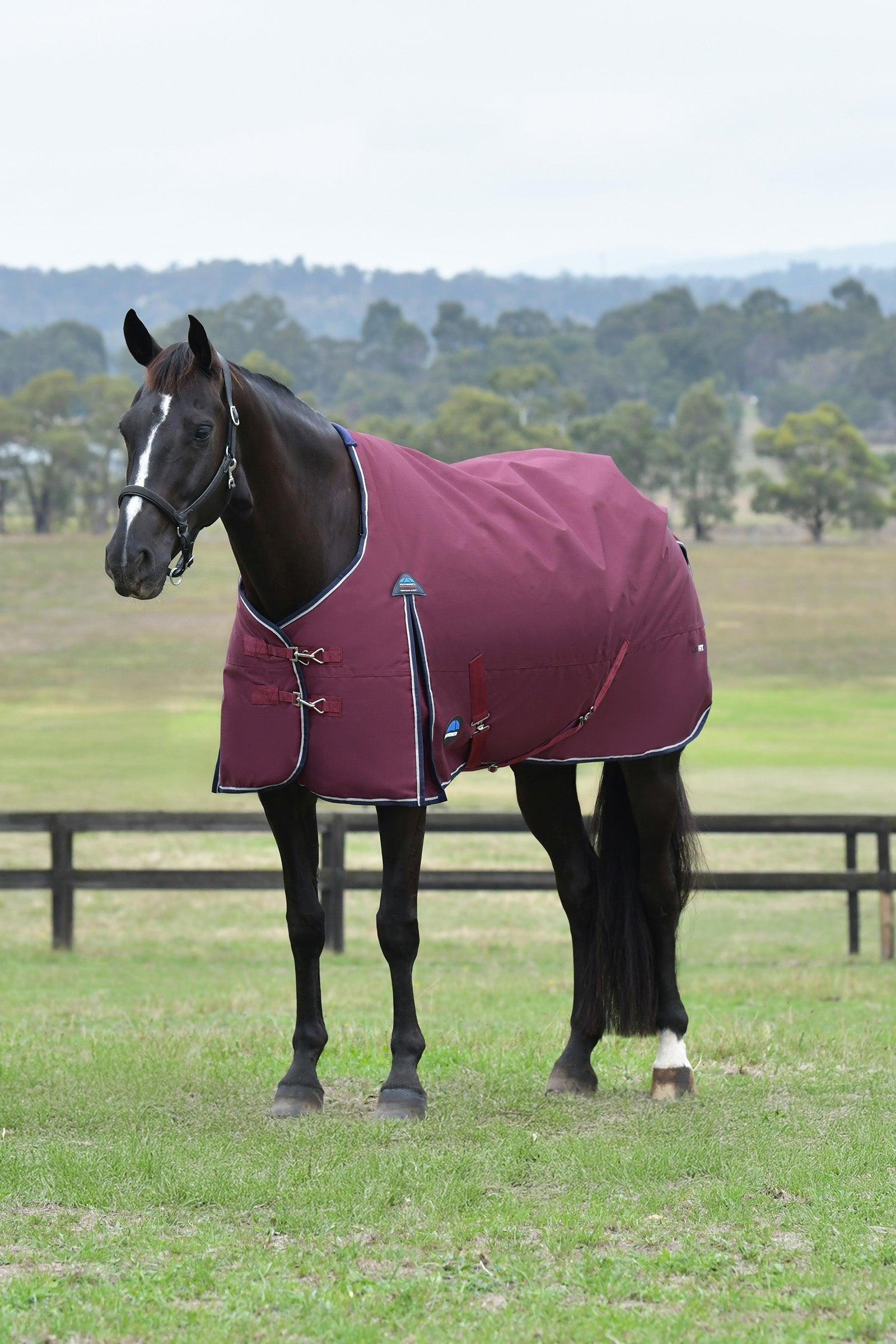 Weatherbeeta ComFiTec Essential Turnout Standard Neck 50G Horse Rugs